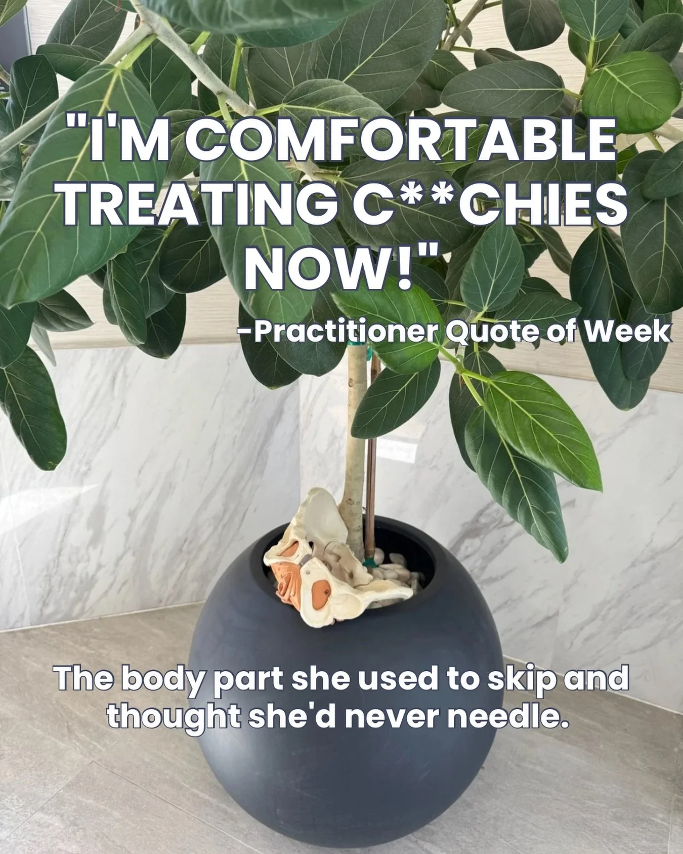 She said it with laughter. &ldquo;I&rsquo;m comfortable with treating c**chies now.&rdquo; Light, confident, proud. I felt it resonate deeply.

And I want to tell you why.

Before our classes, the pelvis is the region practitioners work around. You g