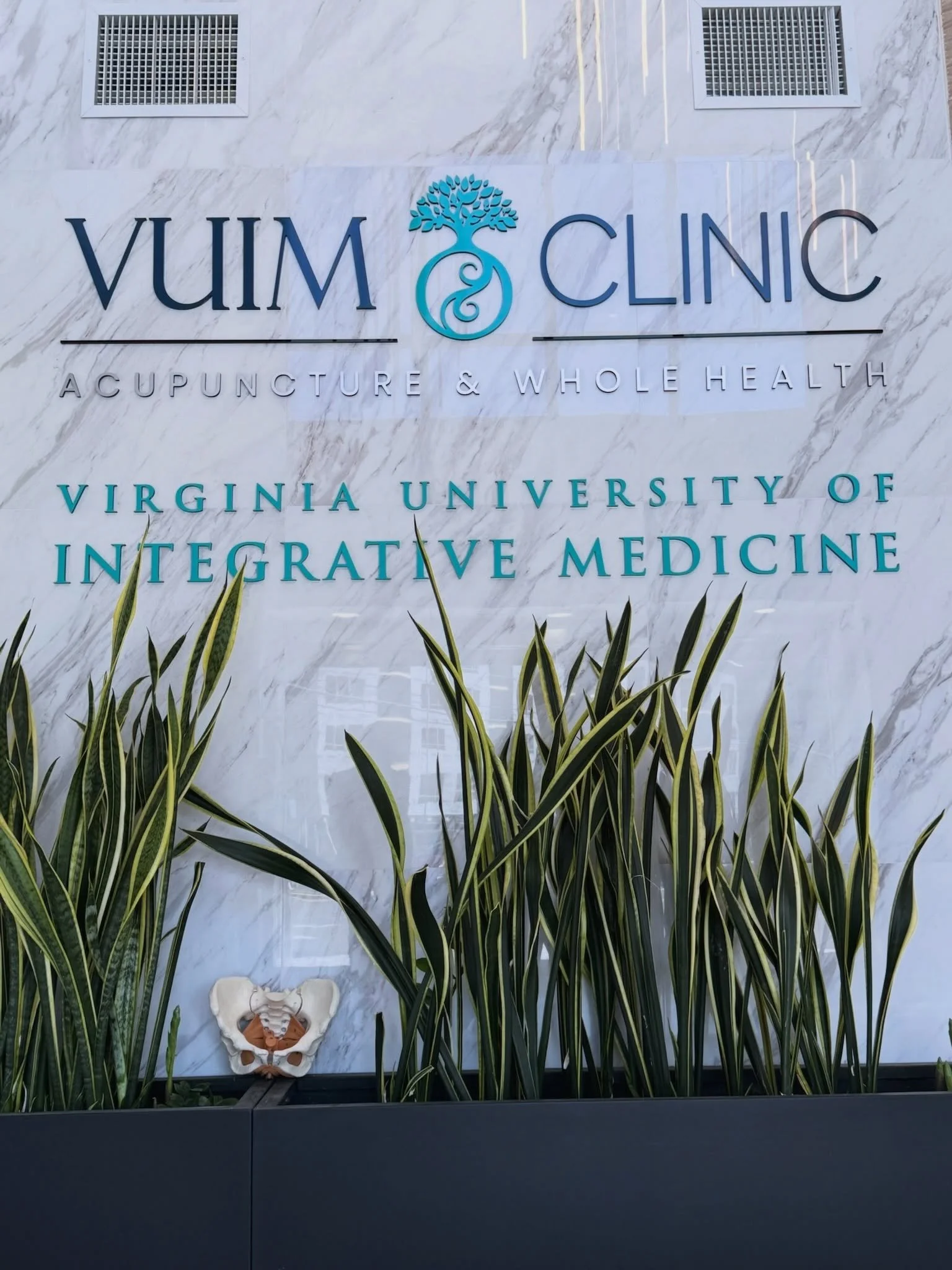 This is what continuing education should feel like&hellip; interactive, inclusive, and grounded in real practice. 

The pelvic acupuncture practicals create space for every learner to ask, observe, practice, and grow all within a supportive environme