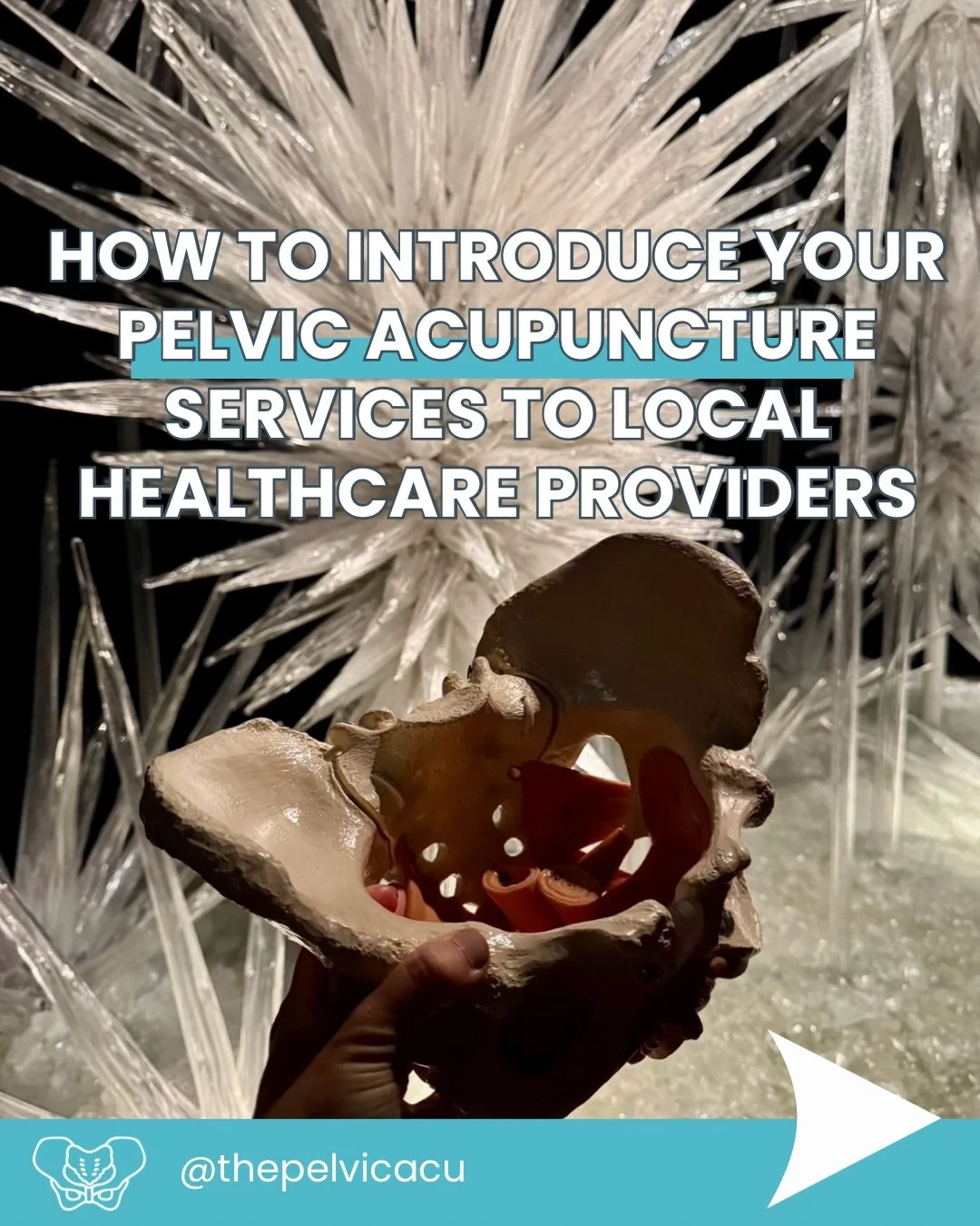 How to introduce your pelvic acupuncture services to local healthcare providers.

Most acupuncturists send one email, hear nothing, and decide the provider wasn&rsquo;t interested. They were just busy.

The acu who build real referral networks don&rs