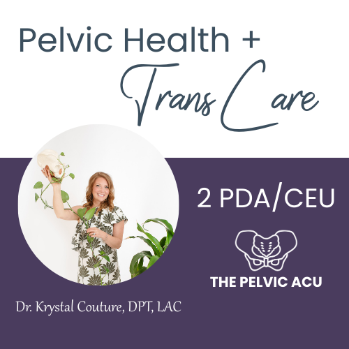 Dr. Krystal holding a pelvis model