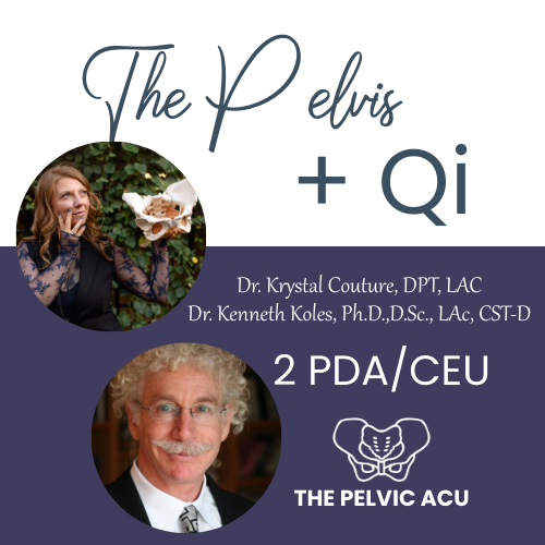 The Pelvis and Qi Acupuncture Fertility Continuing Education Course  Kenneth Koles