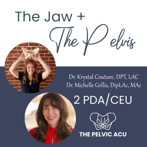 The Jaw and the Pelvis continuing education course. Michelle Gellis