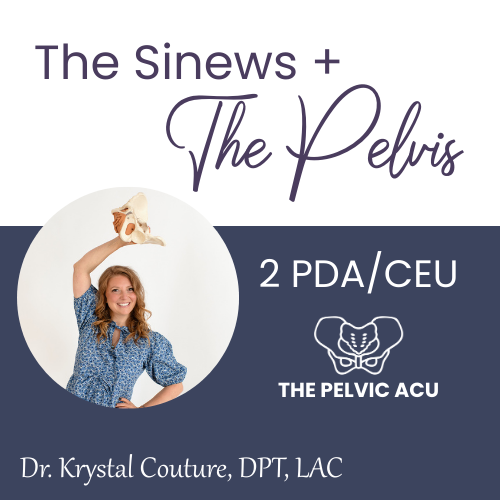 Dr. Krystal holding pelvic model