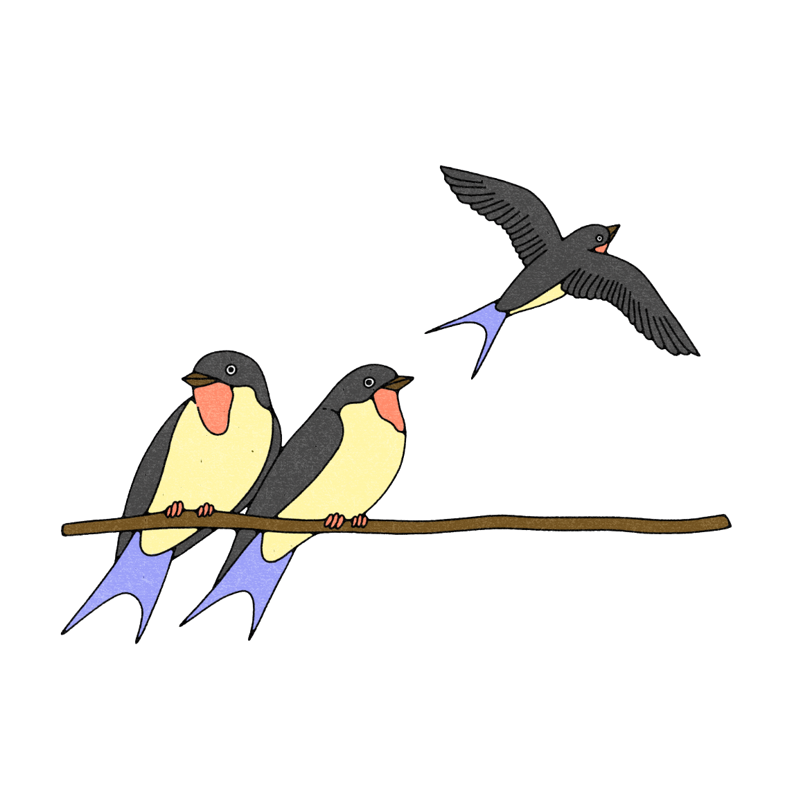 Birds thriving in nature-positive UK