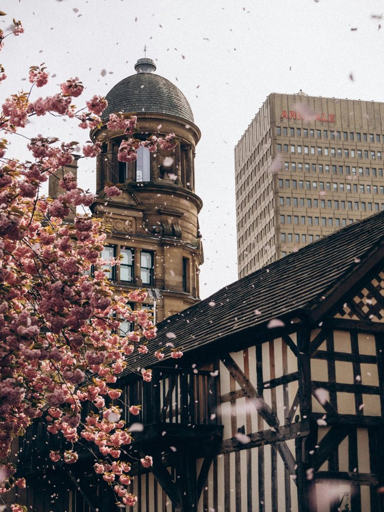 Nature positive urban spaces supported by SME sustainability