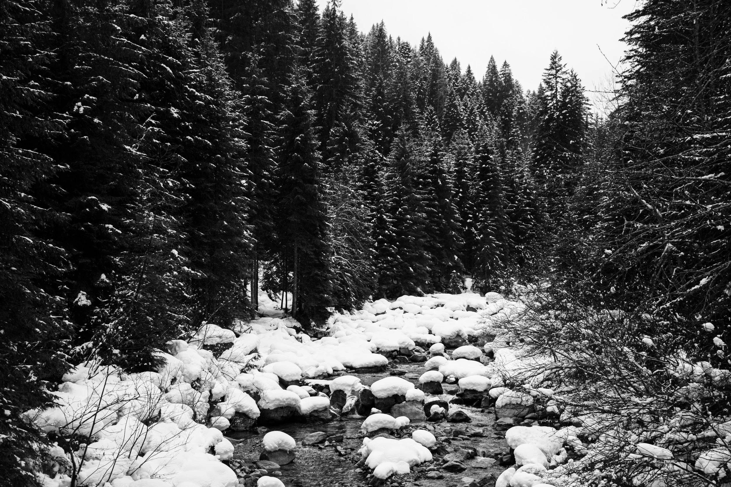 Foresta innevata con un ruscello che scorre tra massi ricoperti di neve.