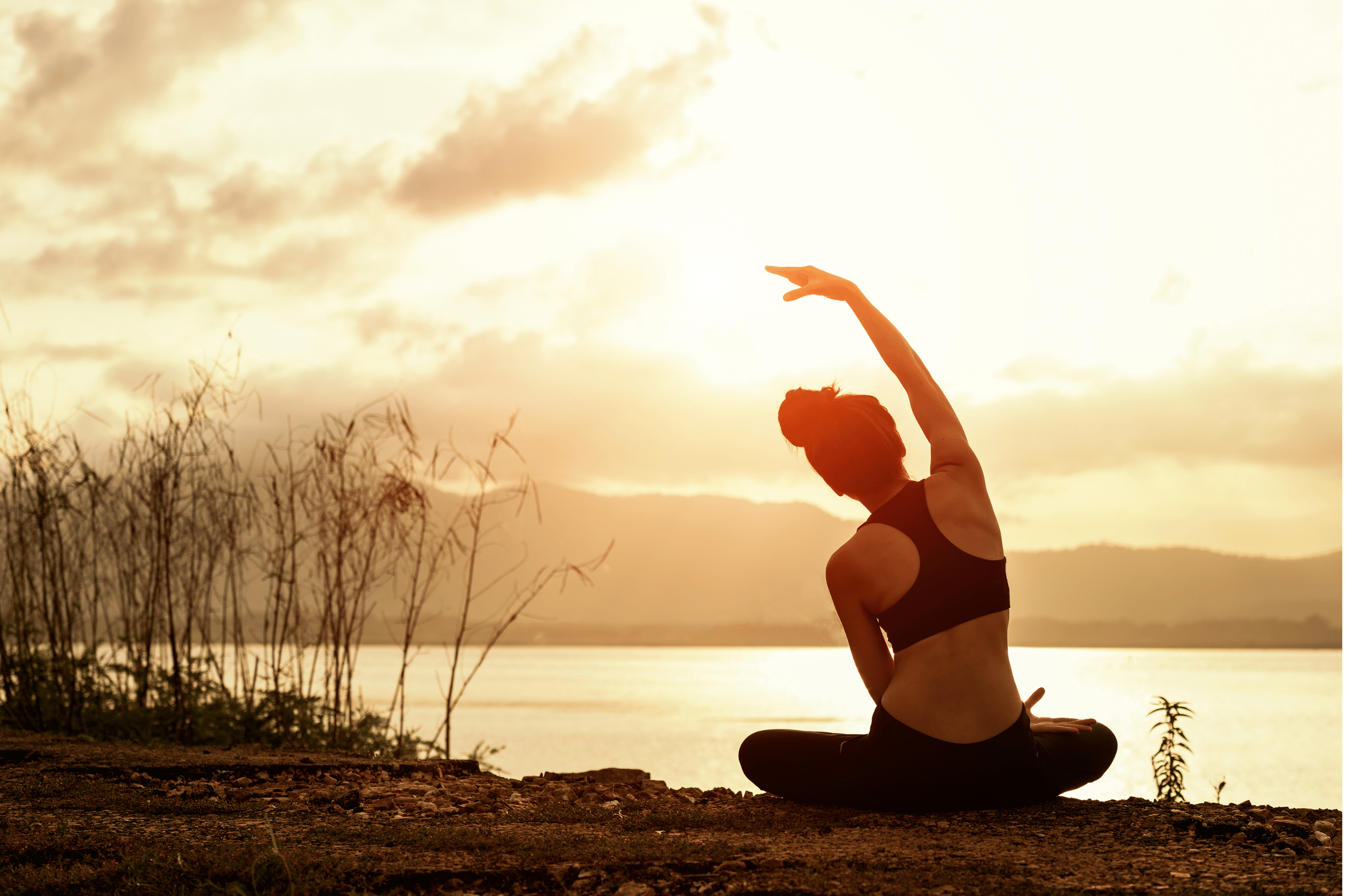 Gentle Yoga Training