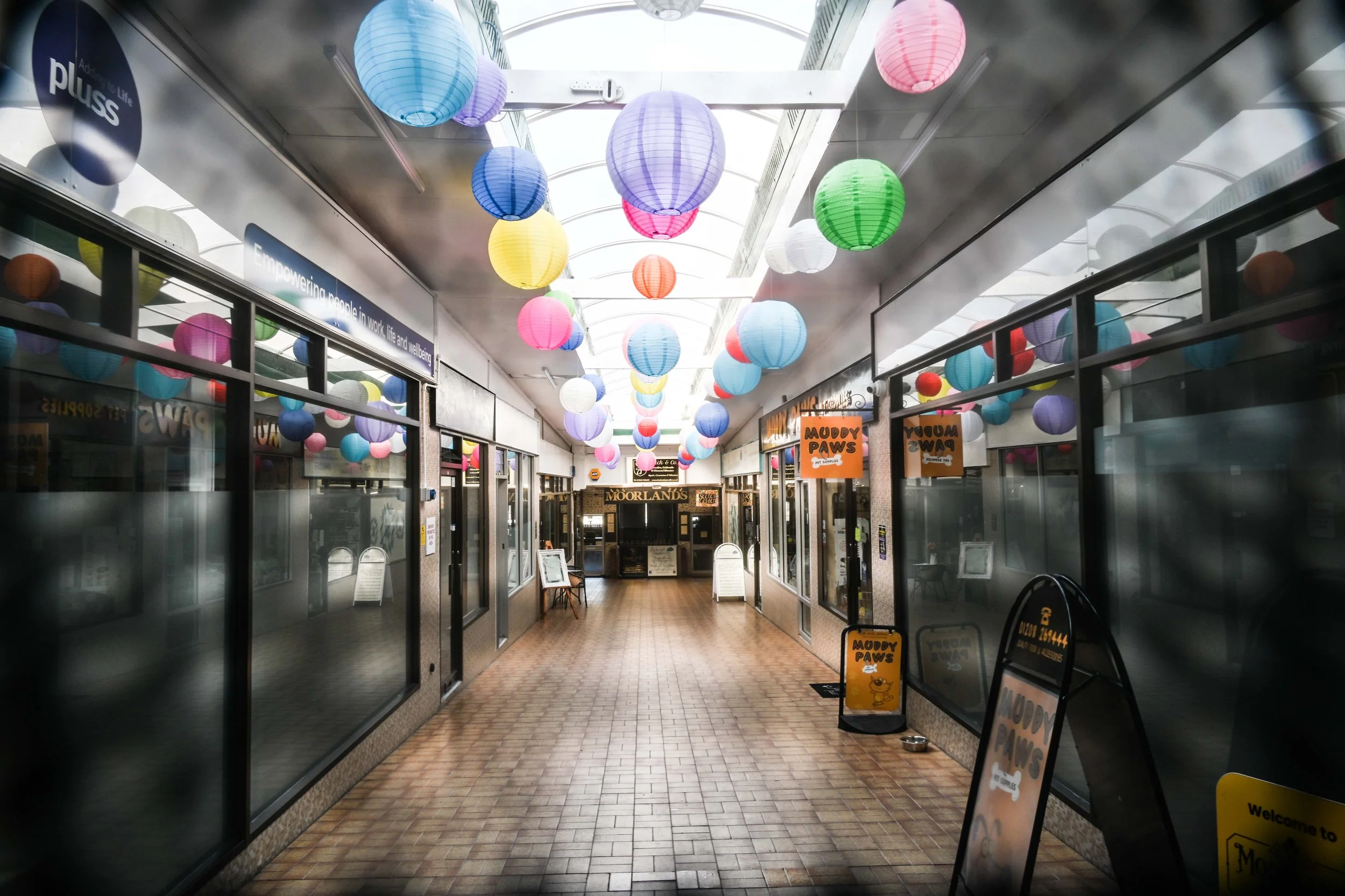 Photographer - Michael