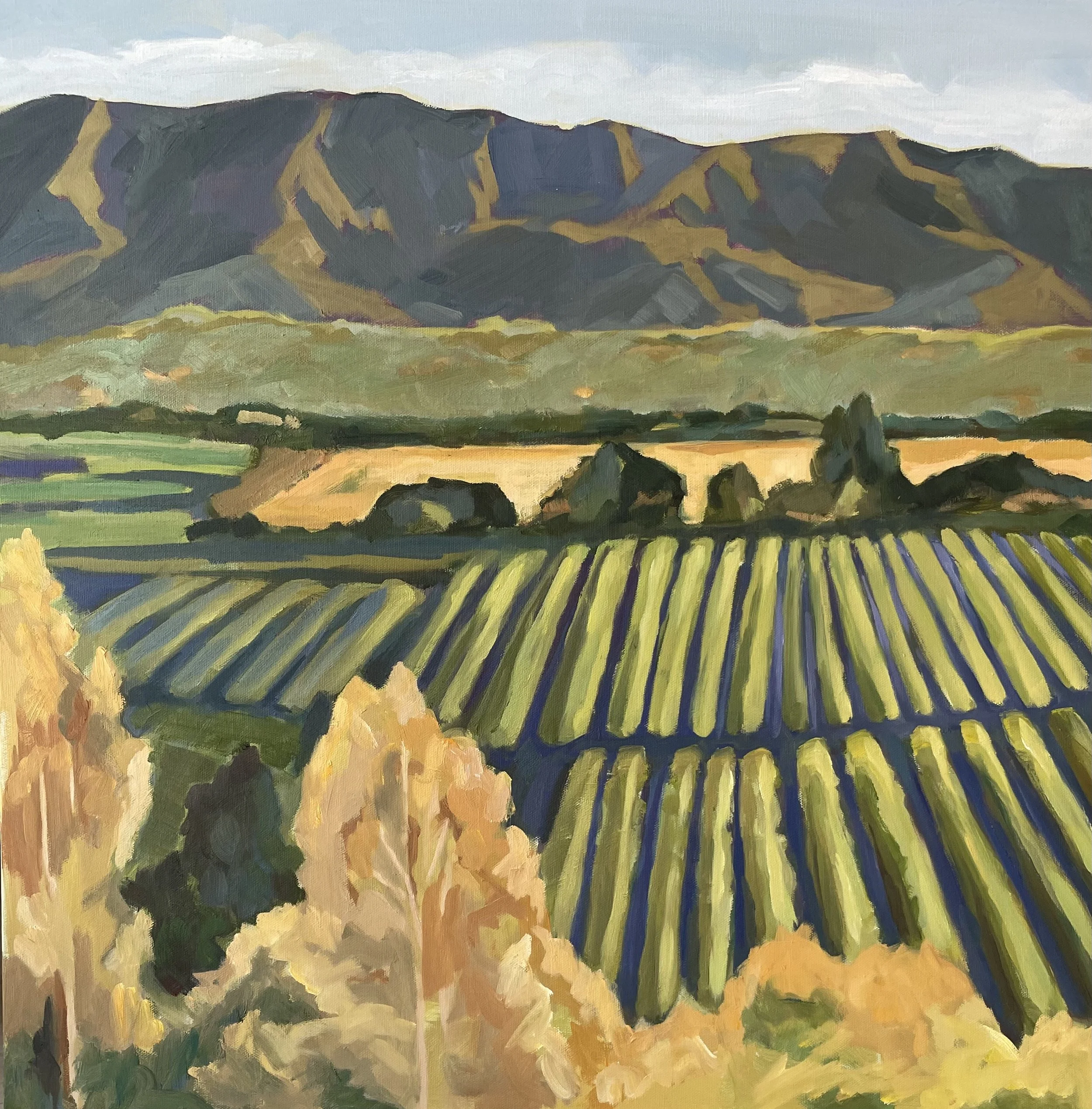Ojai Valley View, 24x24, oil on canvas