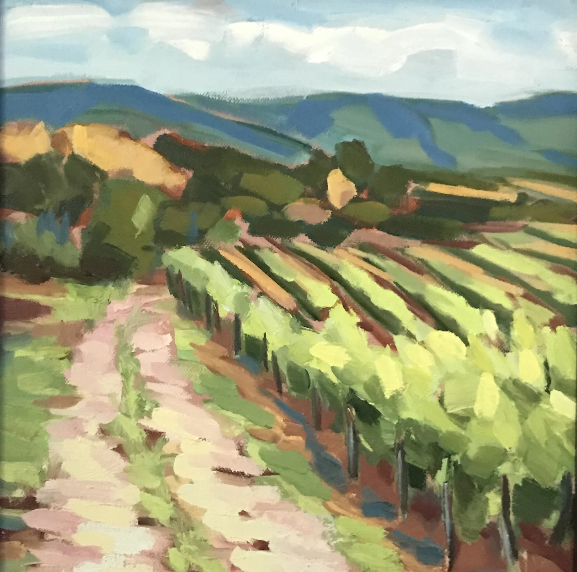 Napa Vineyard, 12x12, oil on canvas