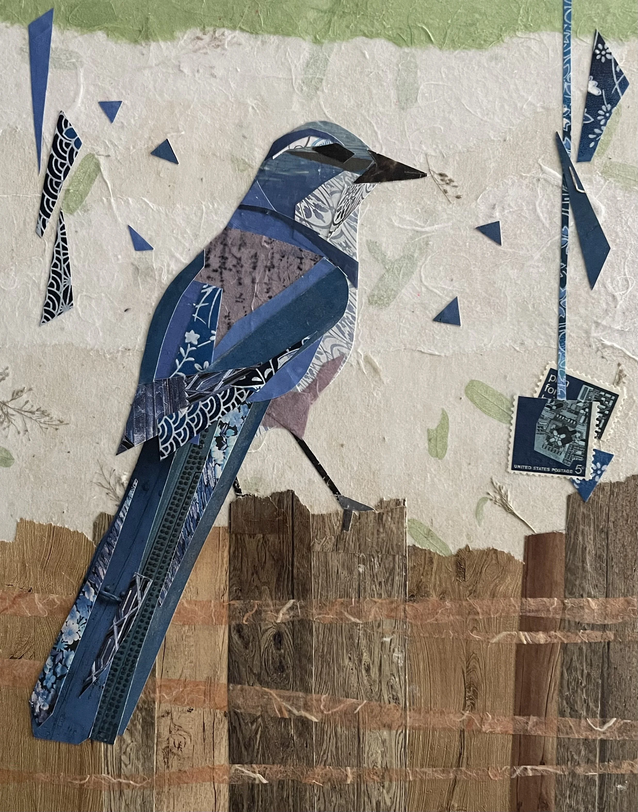 Scrub Jay, 8x10, collage