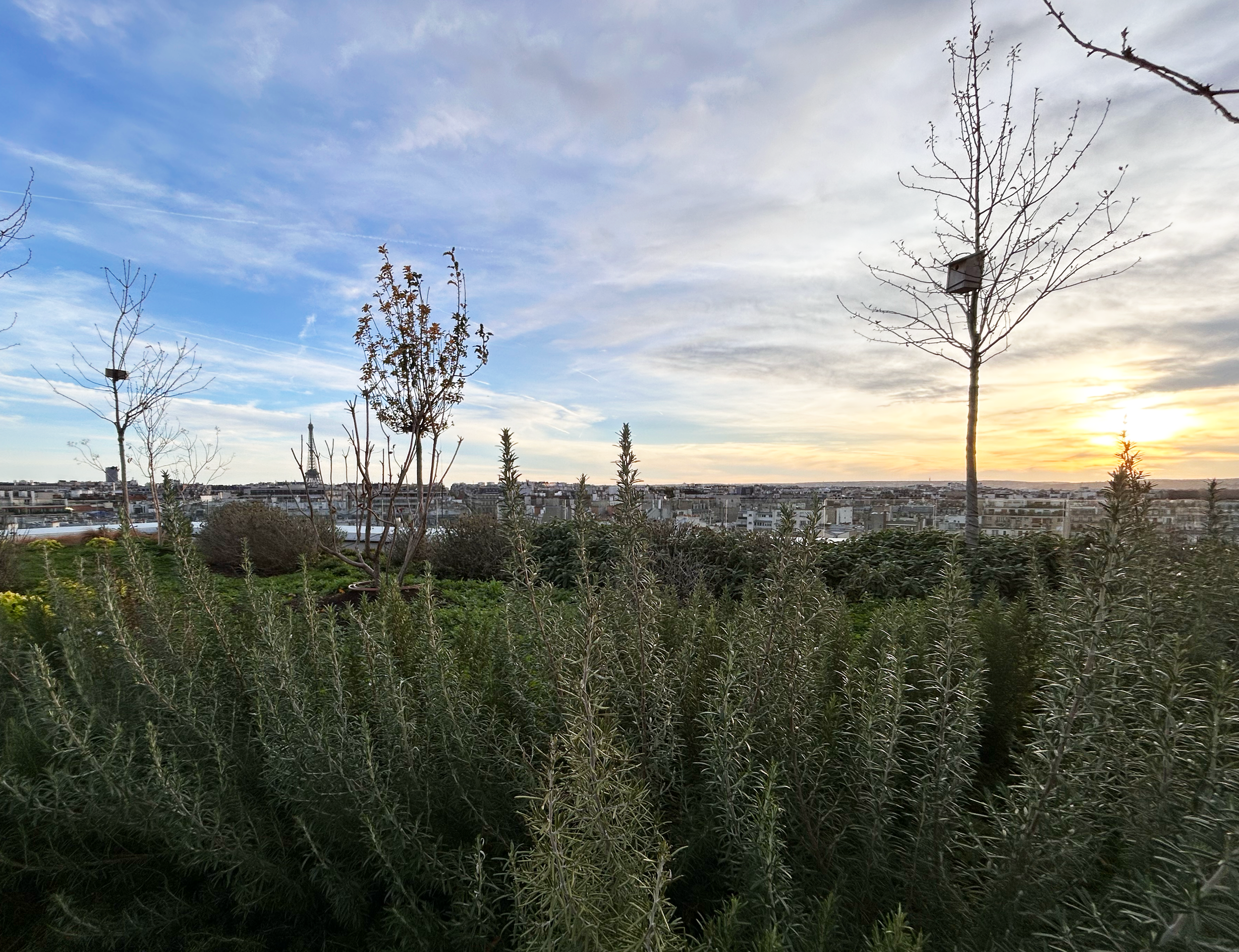 89 GA_Terrasse_9.png