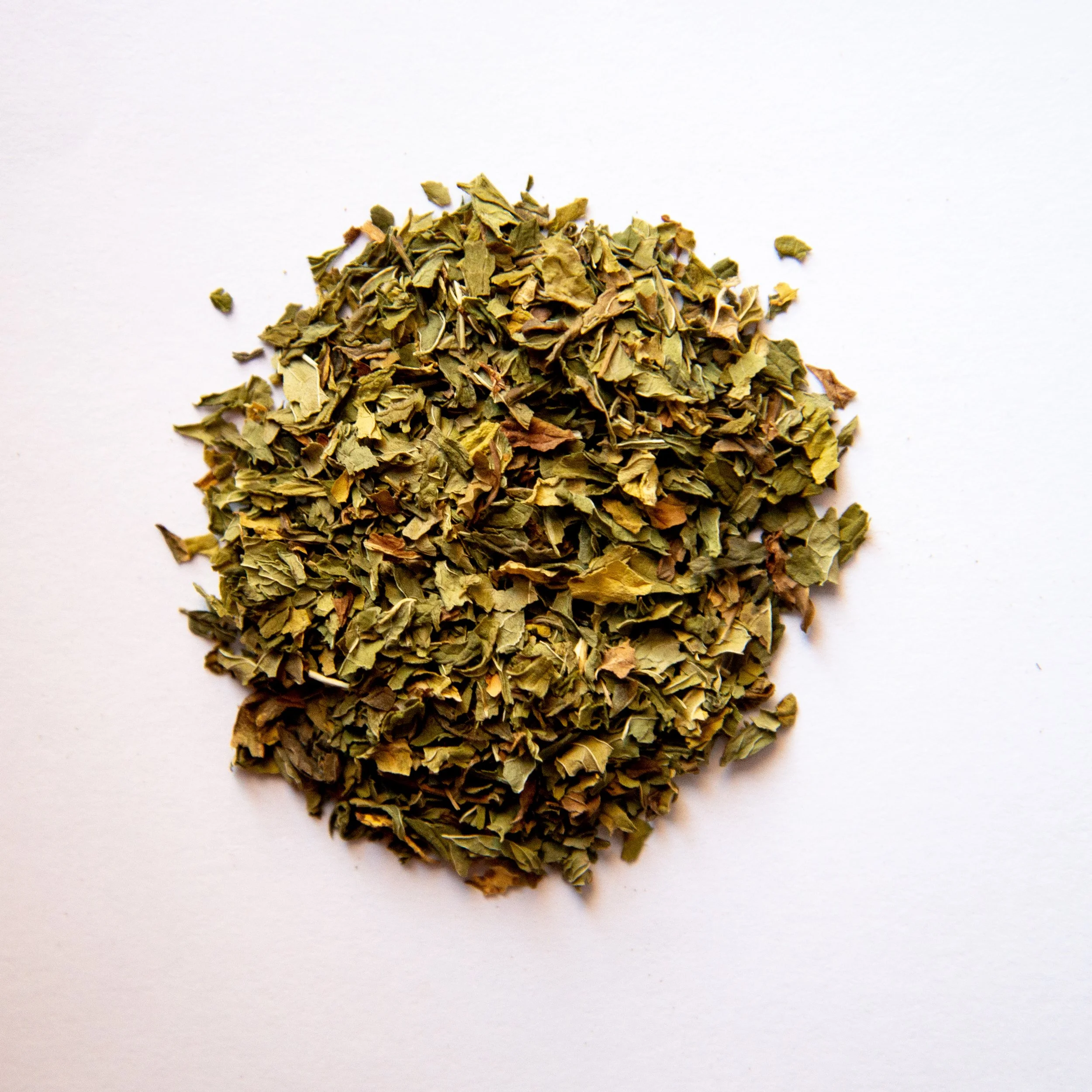 Spearmint.jpg
