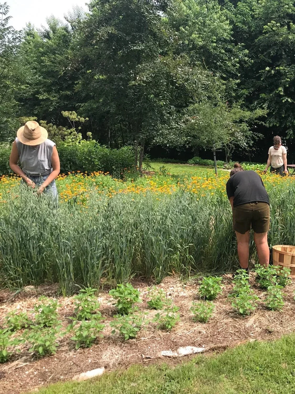 Meetinghouse Farm, Scarborough, ME