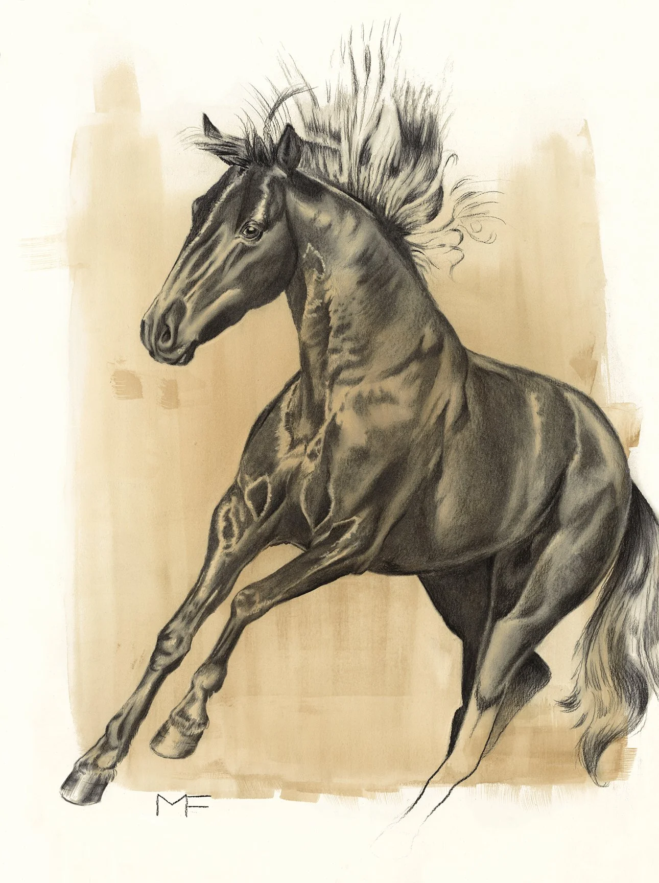 "DARK HORSE", 18" x 24", charcoal on archival paper