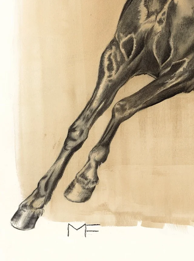 "DARK HORSE", 18" x 24", charcoal on archival paper