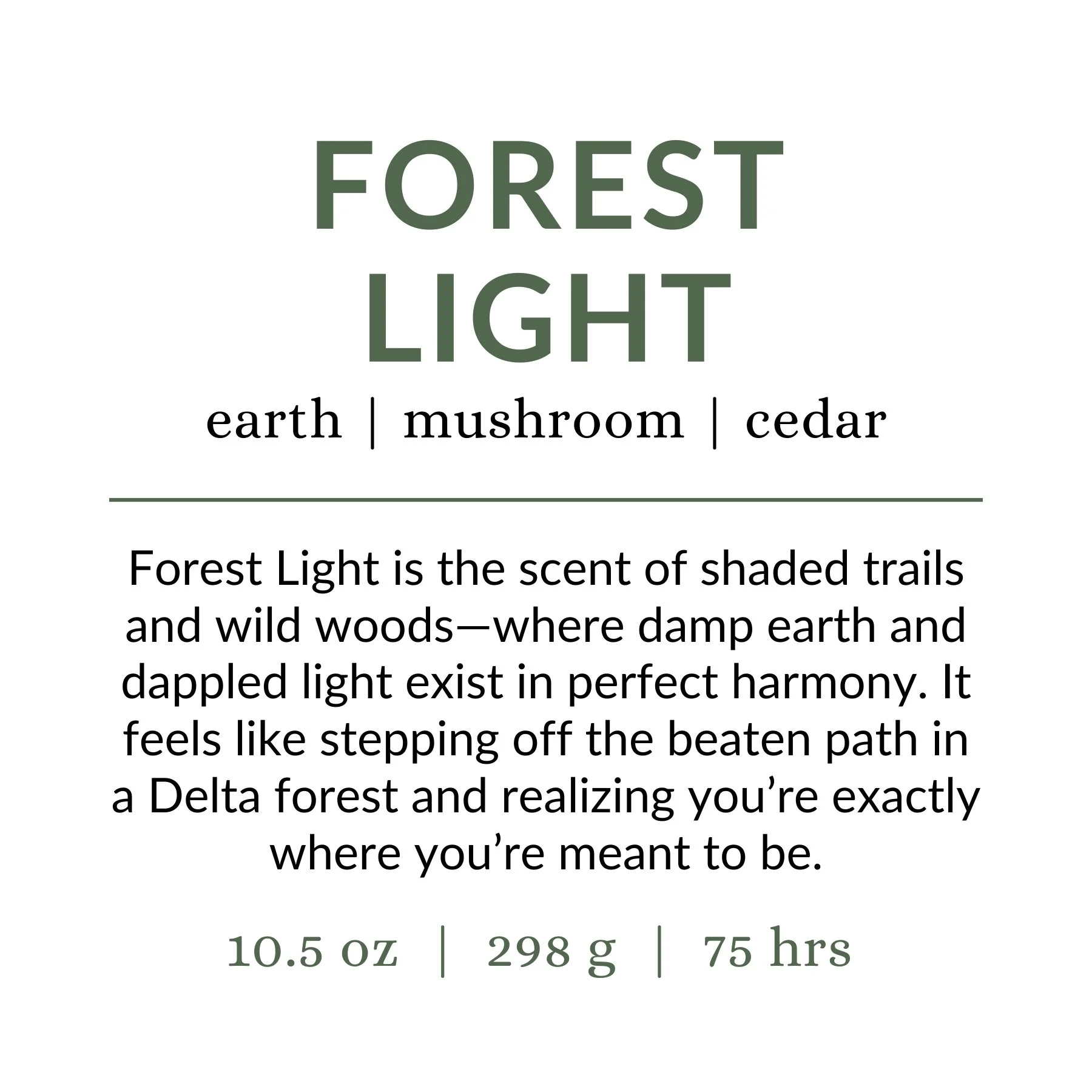 Forest Light
