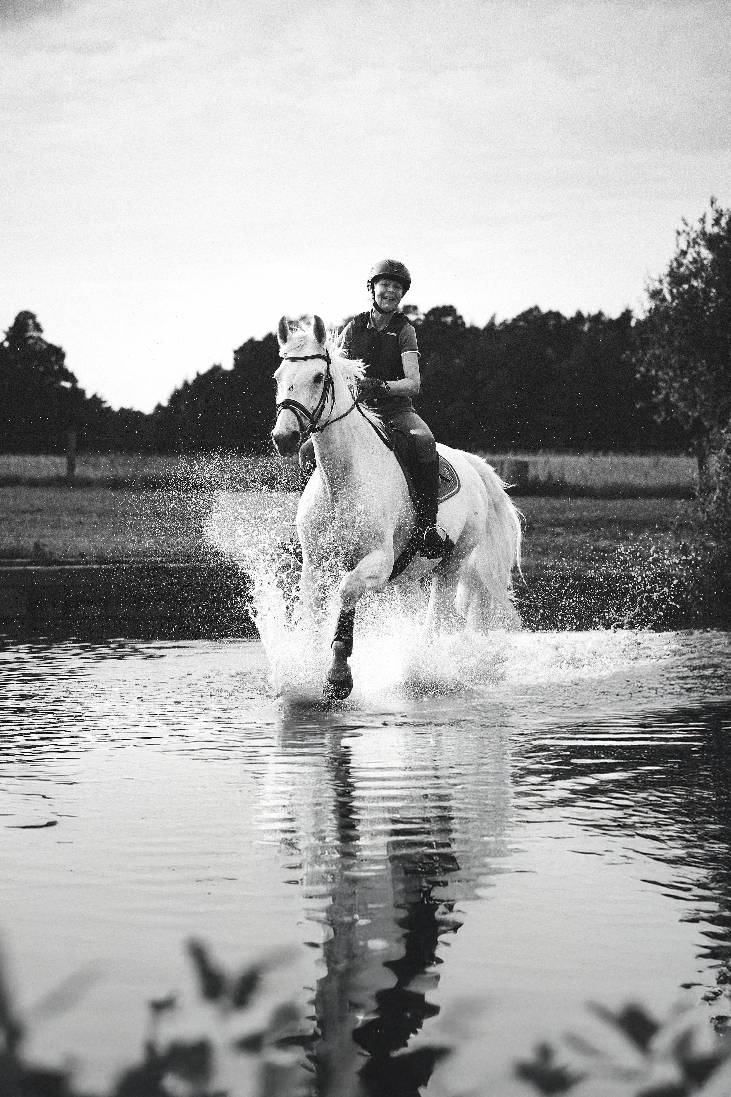 Horses in Ollsen_406.jpg