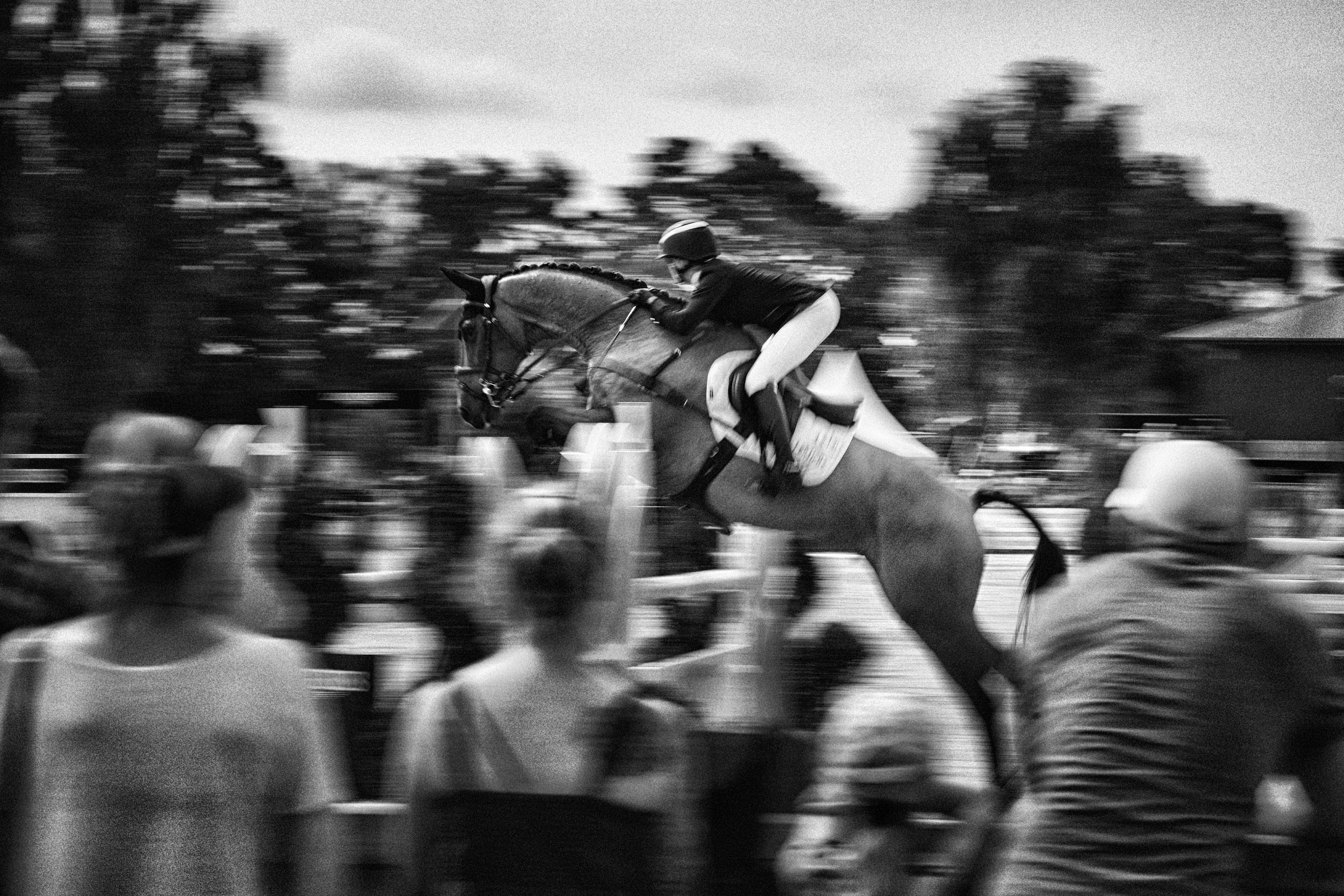 jc_0904_horse 1_2.jpg