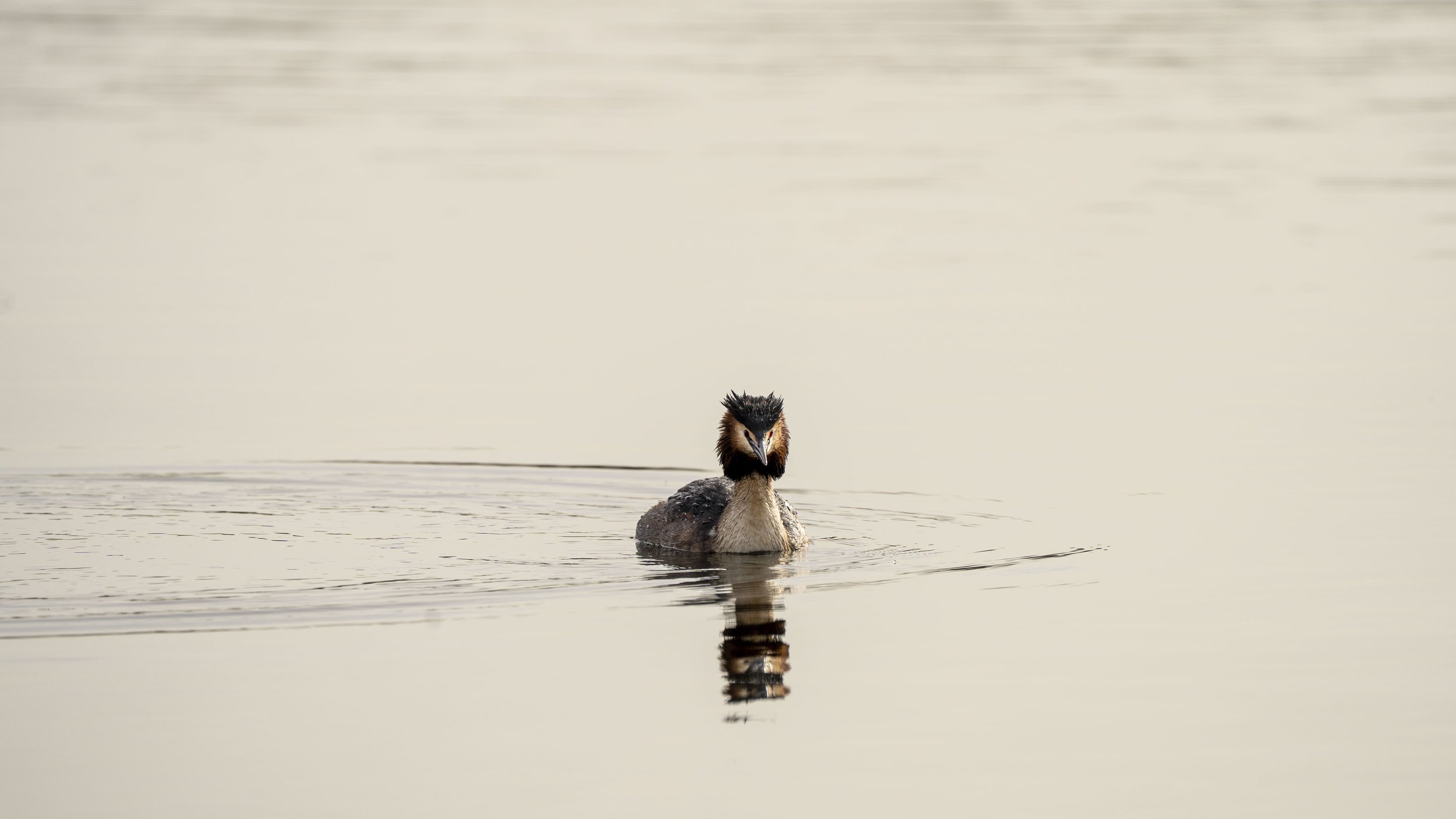 003 - Kemerton - 22-02-2026.jpg