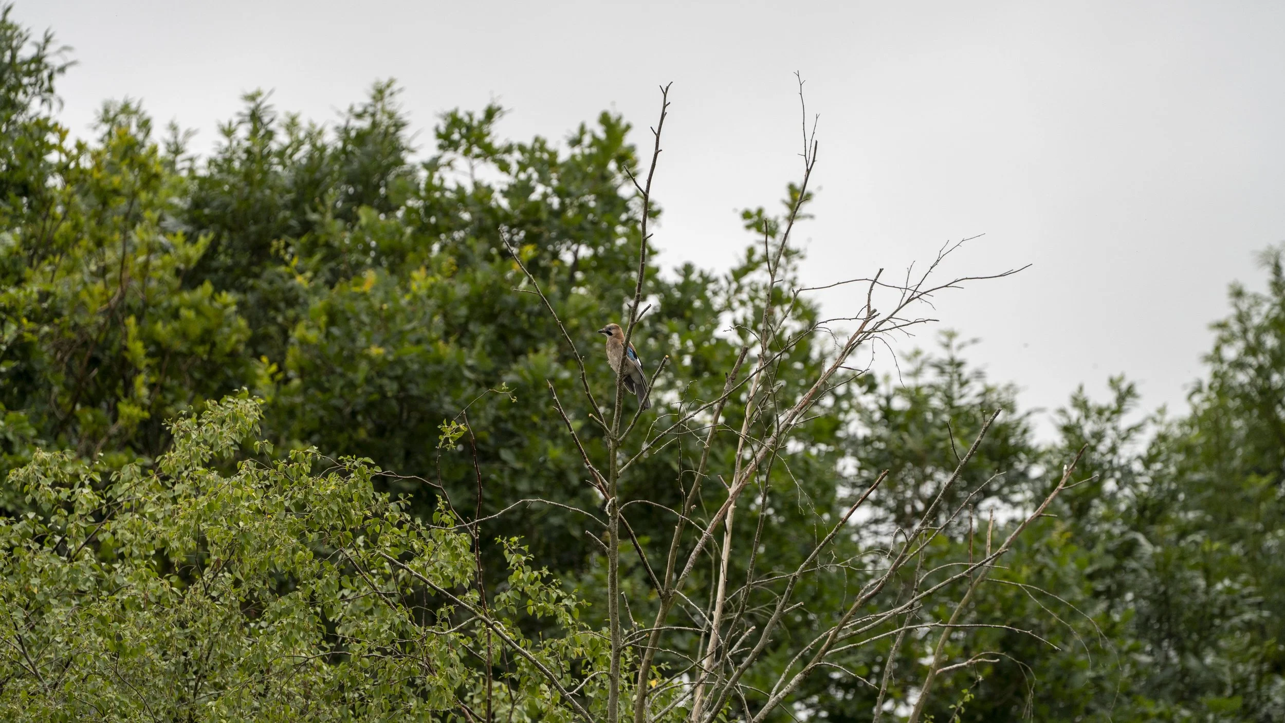 29_06_2025 - Kemerton - 85.jpg