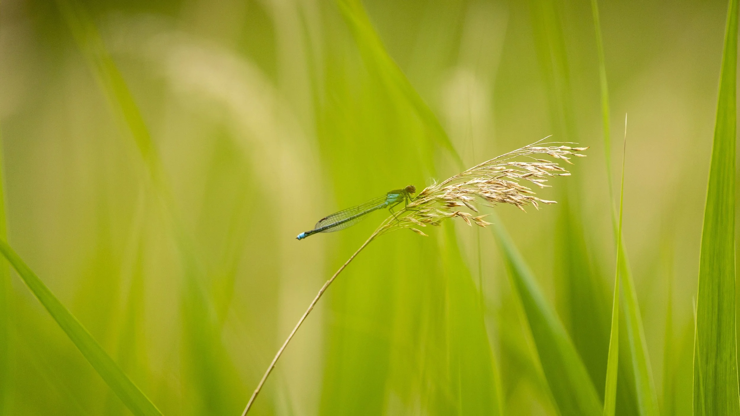 29_06_2025 - Kemerton - 53.jpg