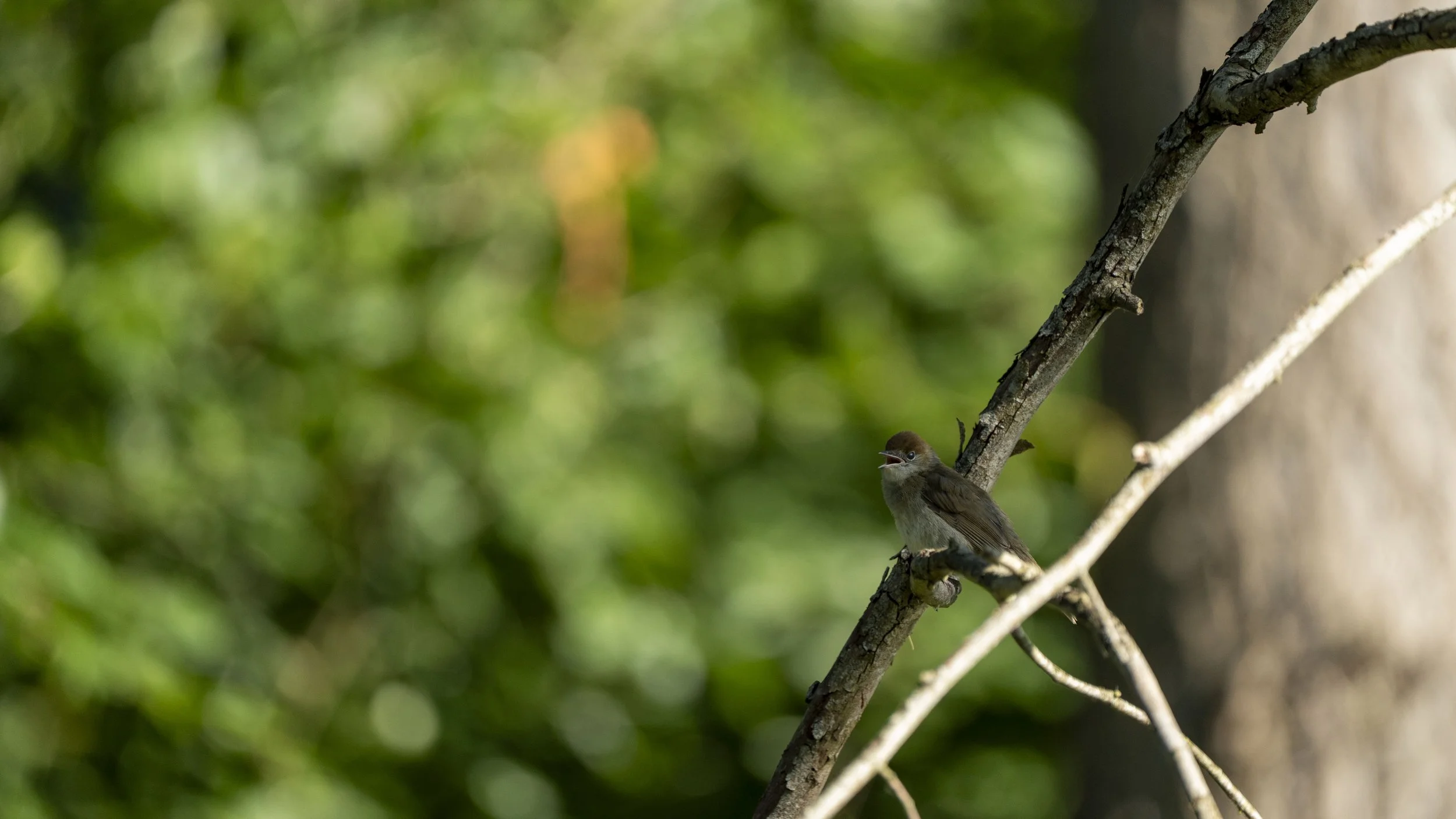 14 - Kemerton - 10-07-2025.jpg