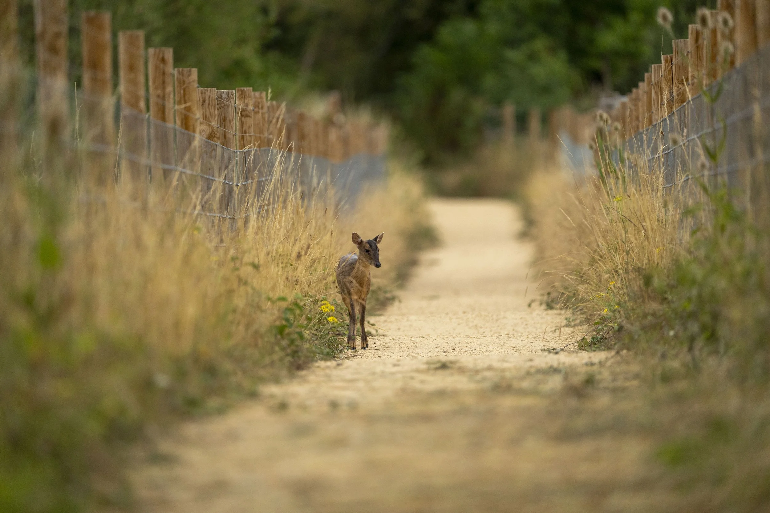 32 - Kemerton - 26-07-2025.jpg