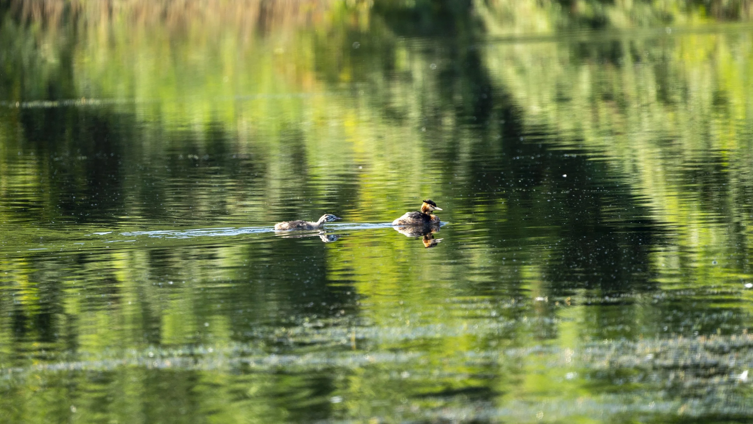 02 - Kemerton - 10-07-2025.jpg