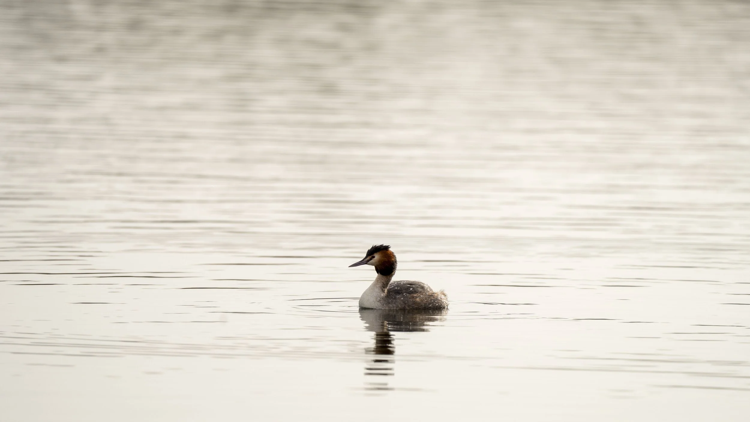 001 - Kemerton - 22-02-2026.jpg