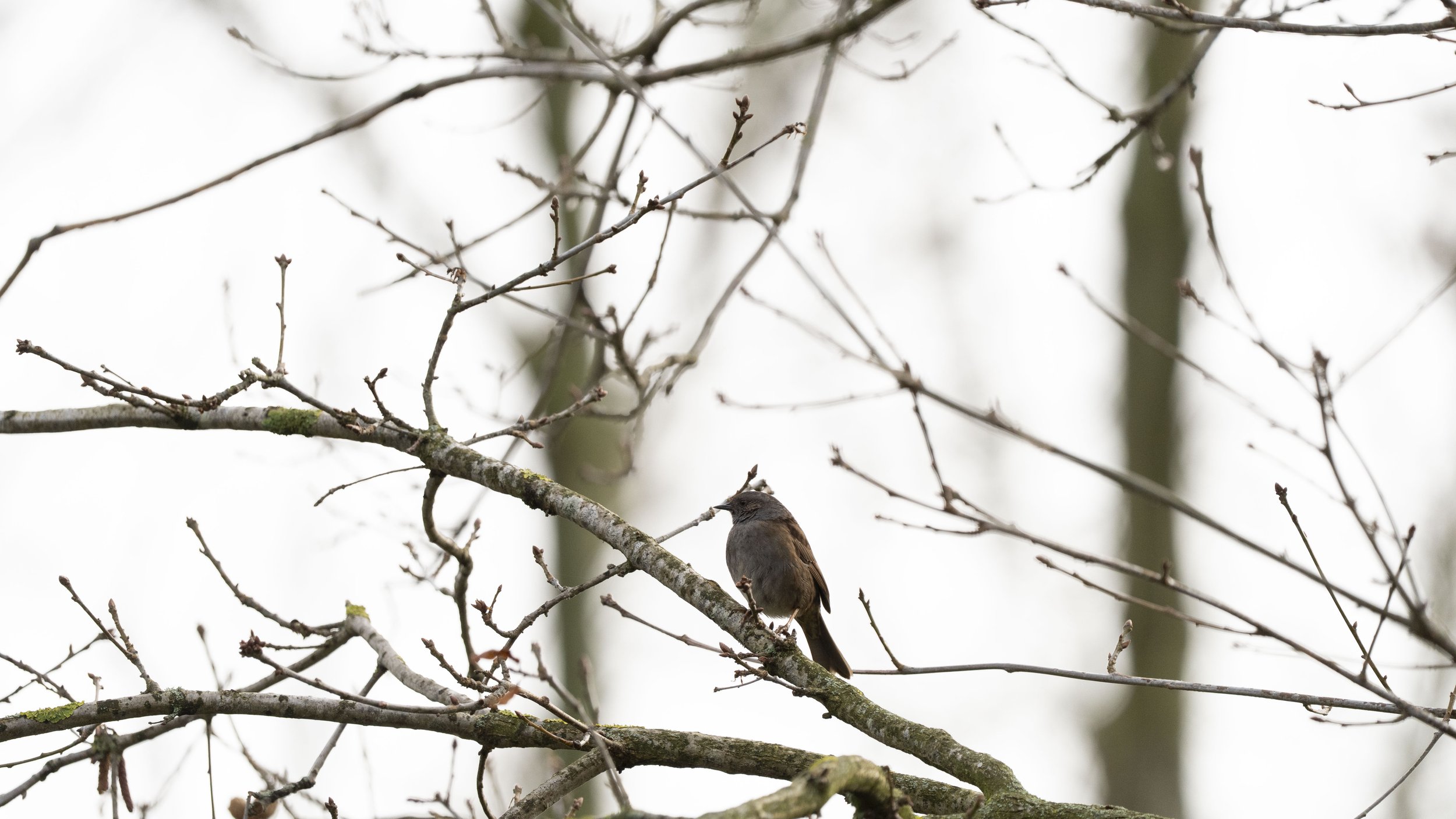 021 - Kemerton - 22-02-2026.jpg