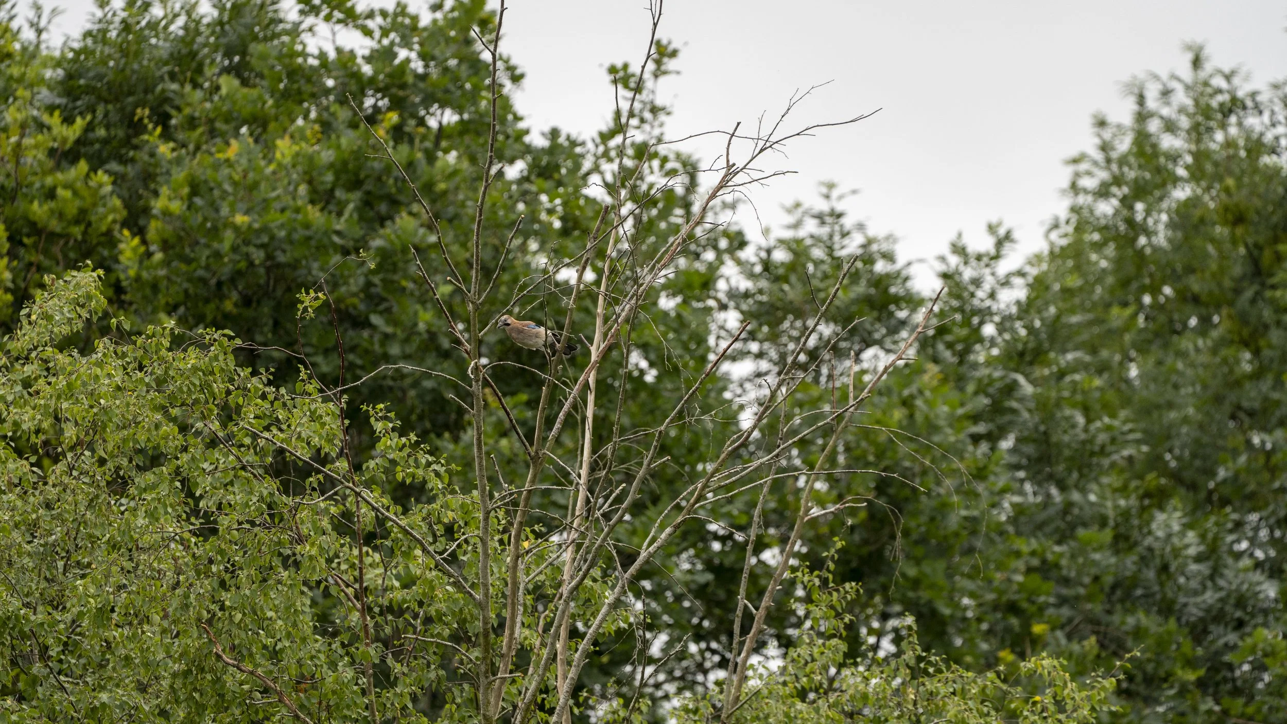 29_06_2025 - Kemerton - 73.jpg