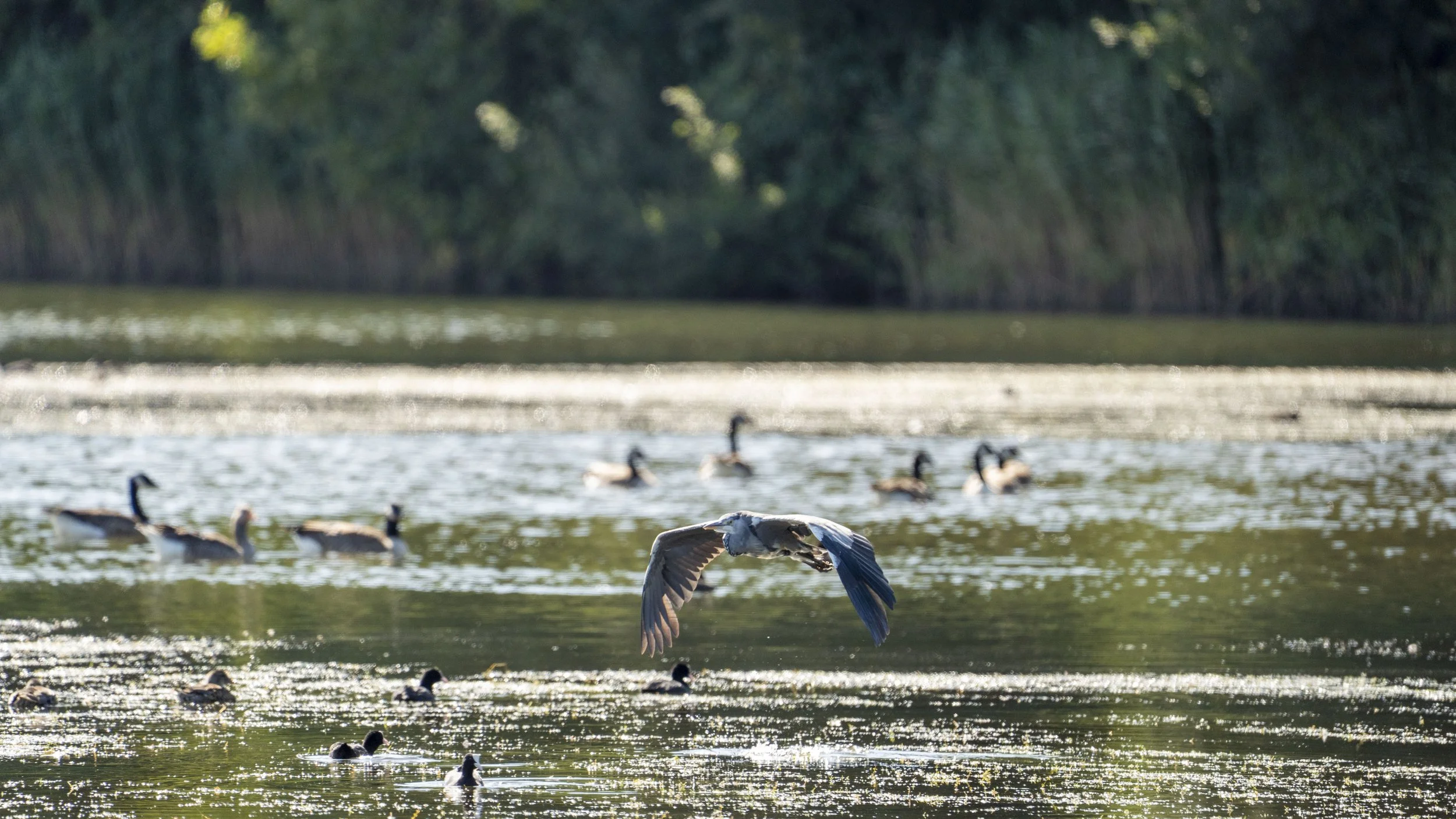 14 - Kemerton - 08-08-2025.jpg