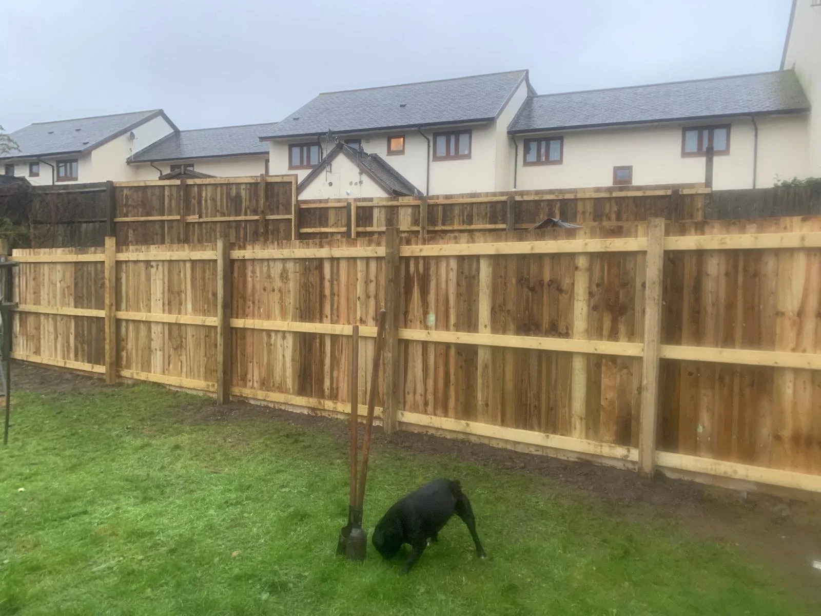 WhatsApp Image 2025-06-13 at 18.04.31.jpeg