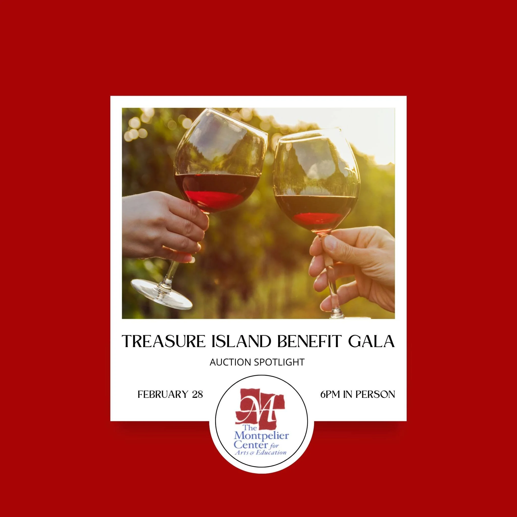 🍷 Auction Spotlight: Vines Wine Tasting

A curated wine experience you can savor &mdash; made even better knowing your bid supports arts and education right here in our community.
Be there to win! 

Treasure Island Benefit Gala
Montpelier Center for