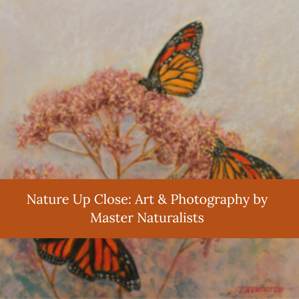 Nature Up Close: Art &amp; Photography by Master Naturalists