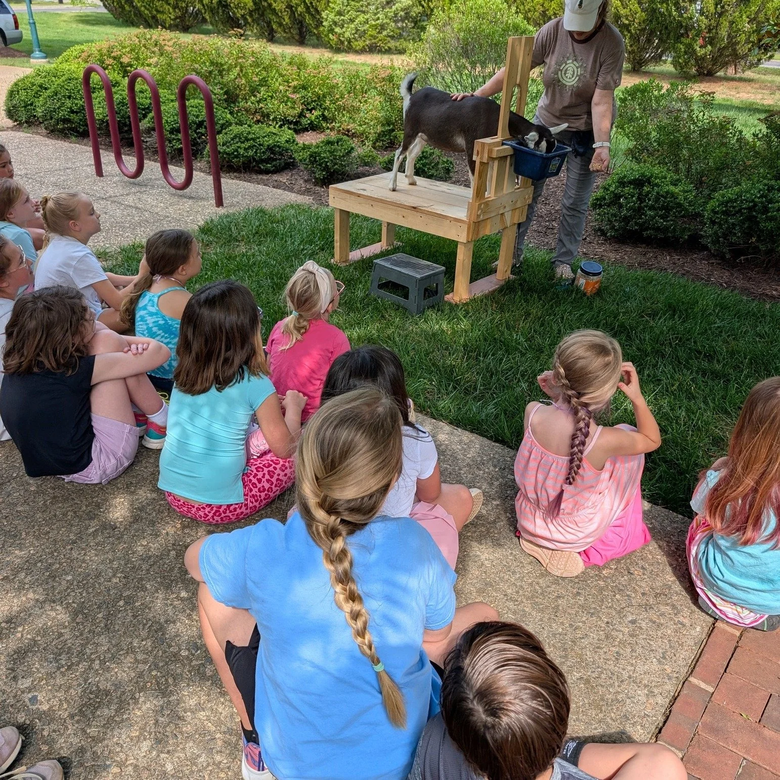 Summer is almost here, and there&rsquo;s still time to sign up for summer camps at Montpelier Center for Arts and Education! From dance and photography to superhero adventures and creative arts, we have camps for a variety of ages and interests.

Giv