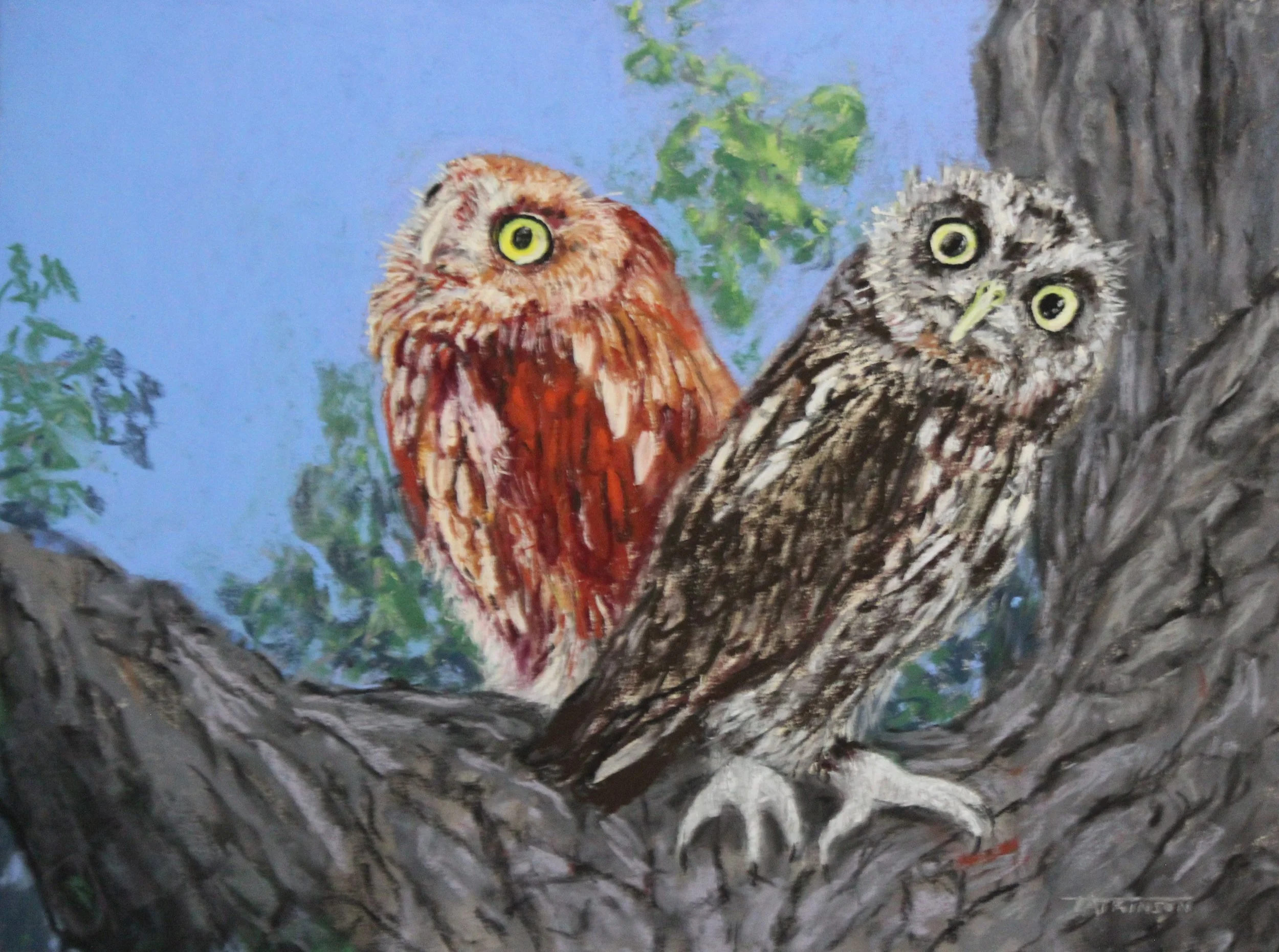 Scheming+and+Dreaming_Atkinson+T (1).JPG