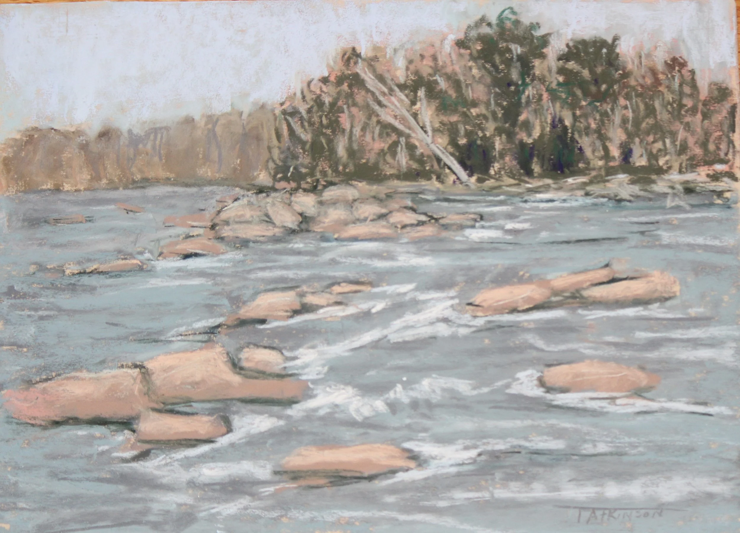 Pony+Pasture+Morning_Terry+Atkinson-Pastel_$150 (1).JPG