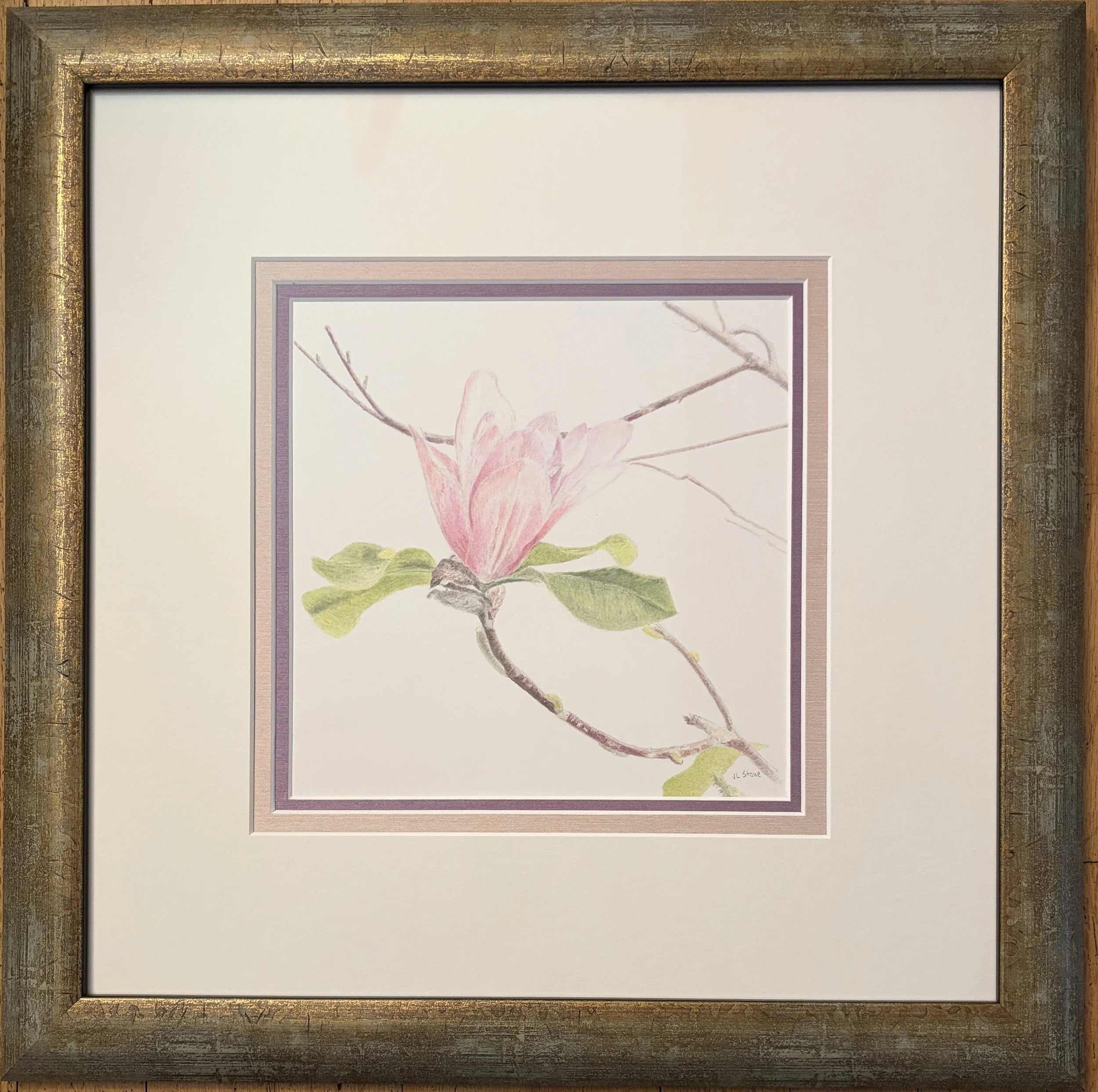 Virginia+Stone_Magnolia (1).JPG