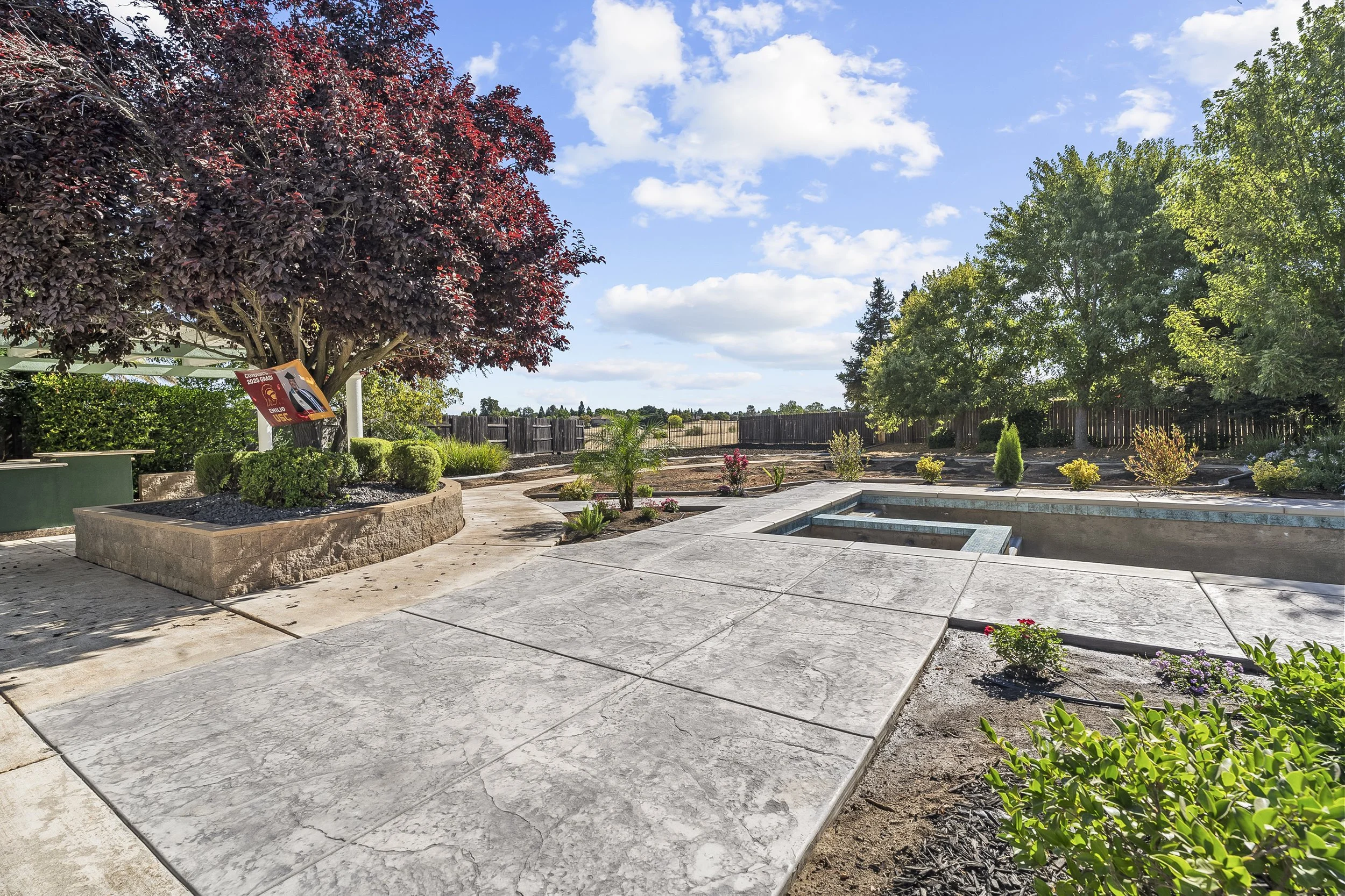 Back Yard 3 (4).jpg