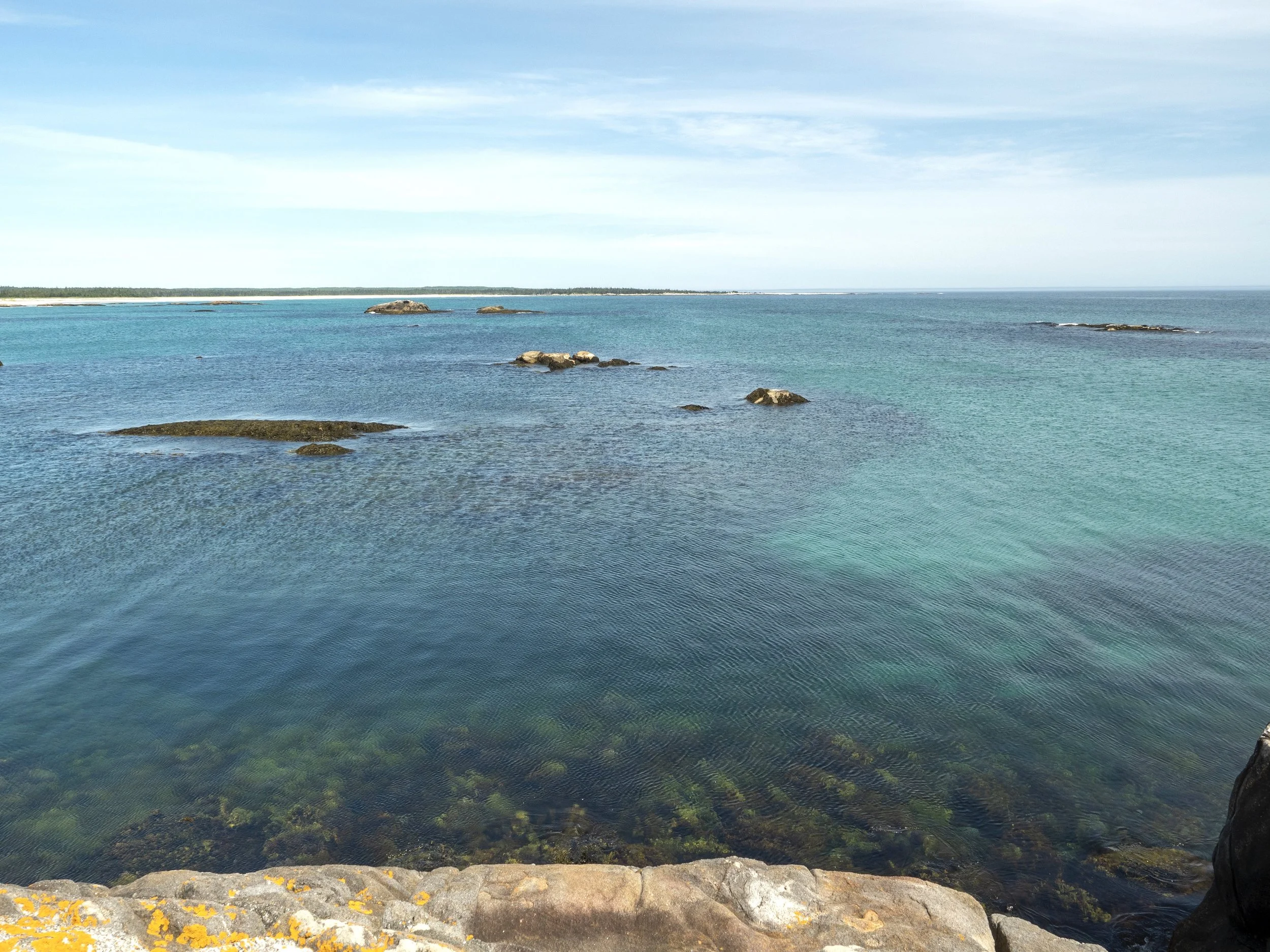 Calm ocean with rocks and seaweed near the shore, under a partly cloudy sky.