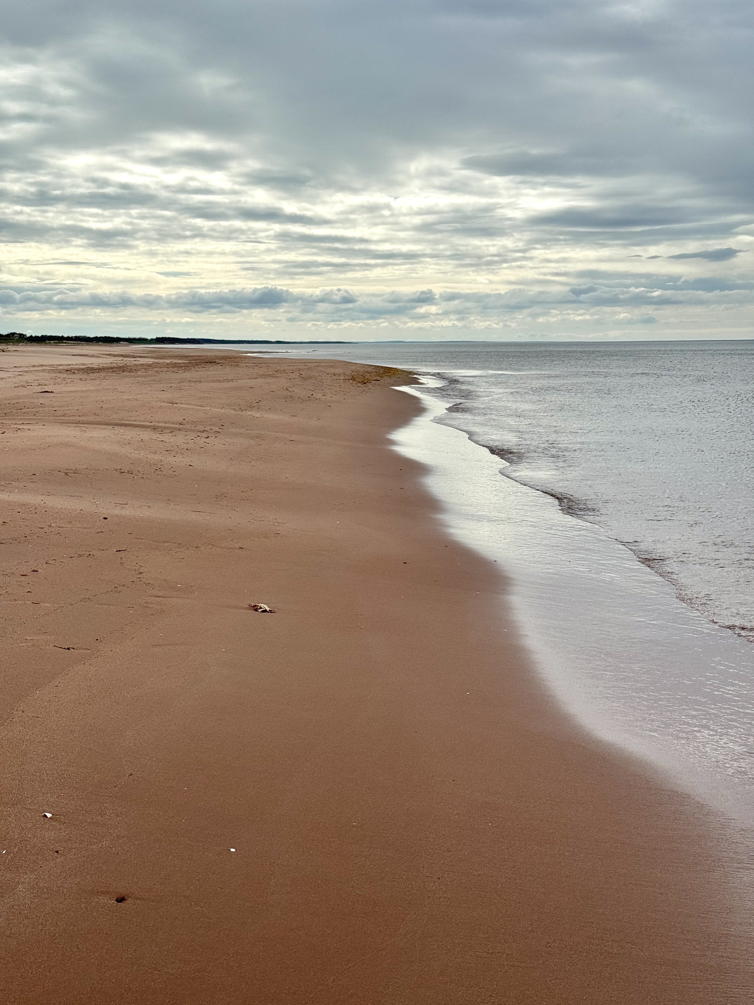 Empty sandy beach in Prince Edward Island with gentle waves and overcast sky.