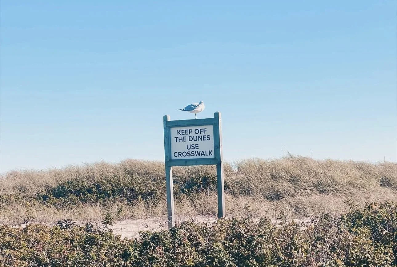 OFF THE DUNES.jpg