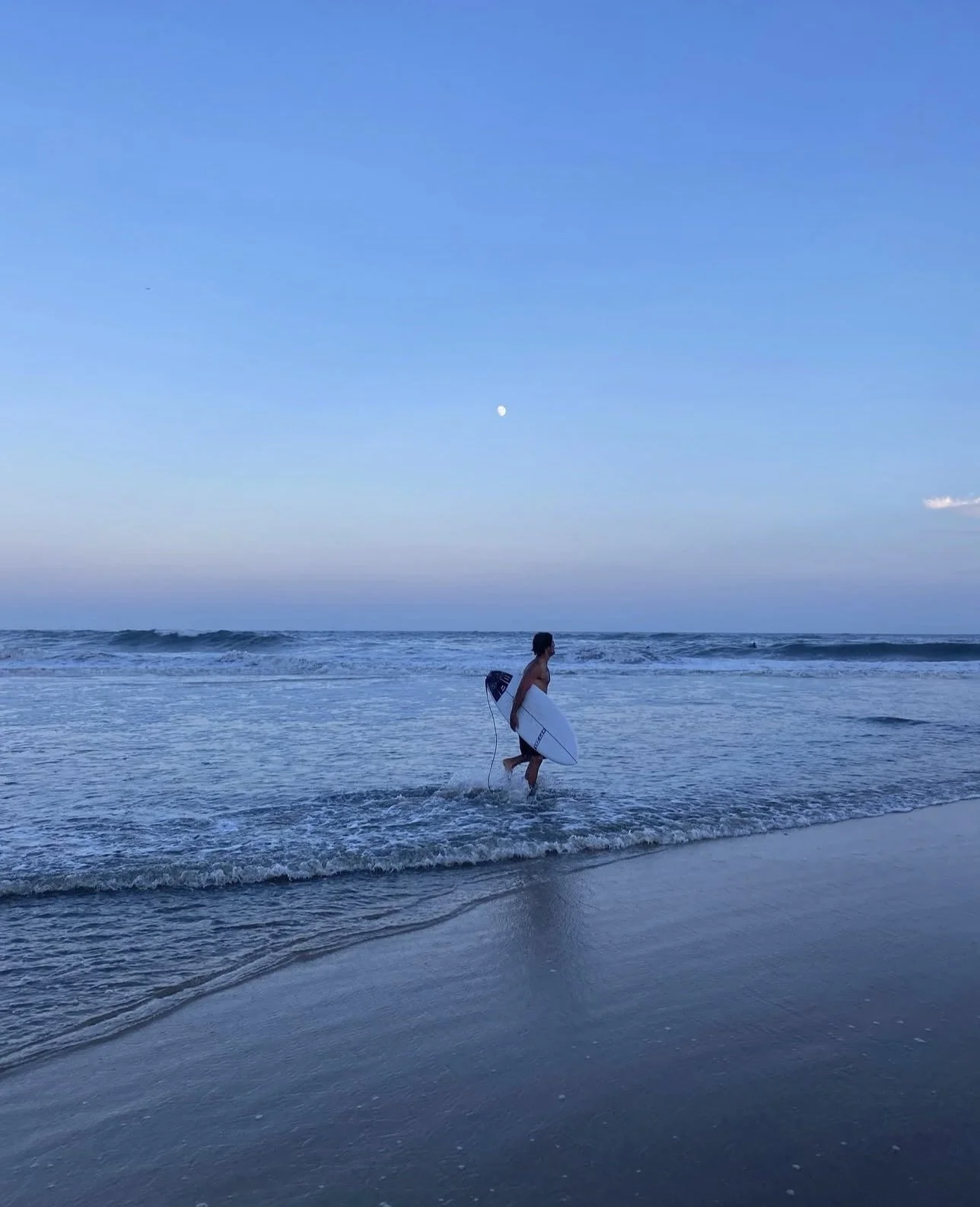 SURFER AND SEAGULL.jpg