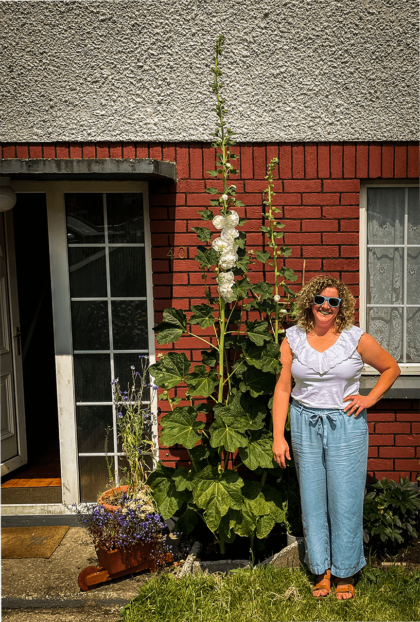 10 foot hollyhock.png
