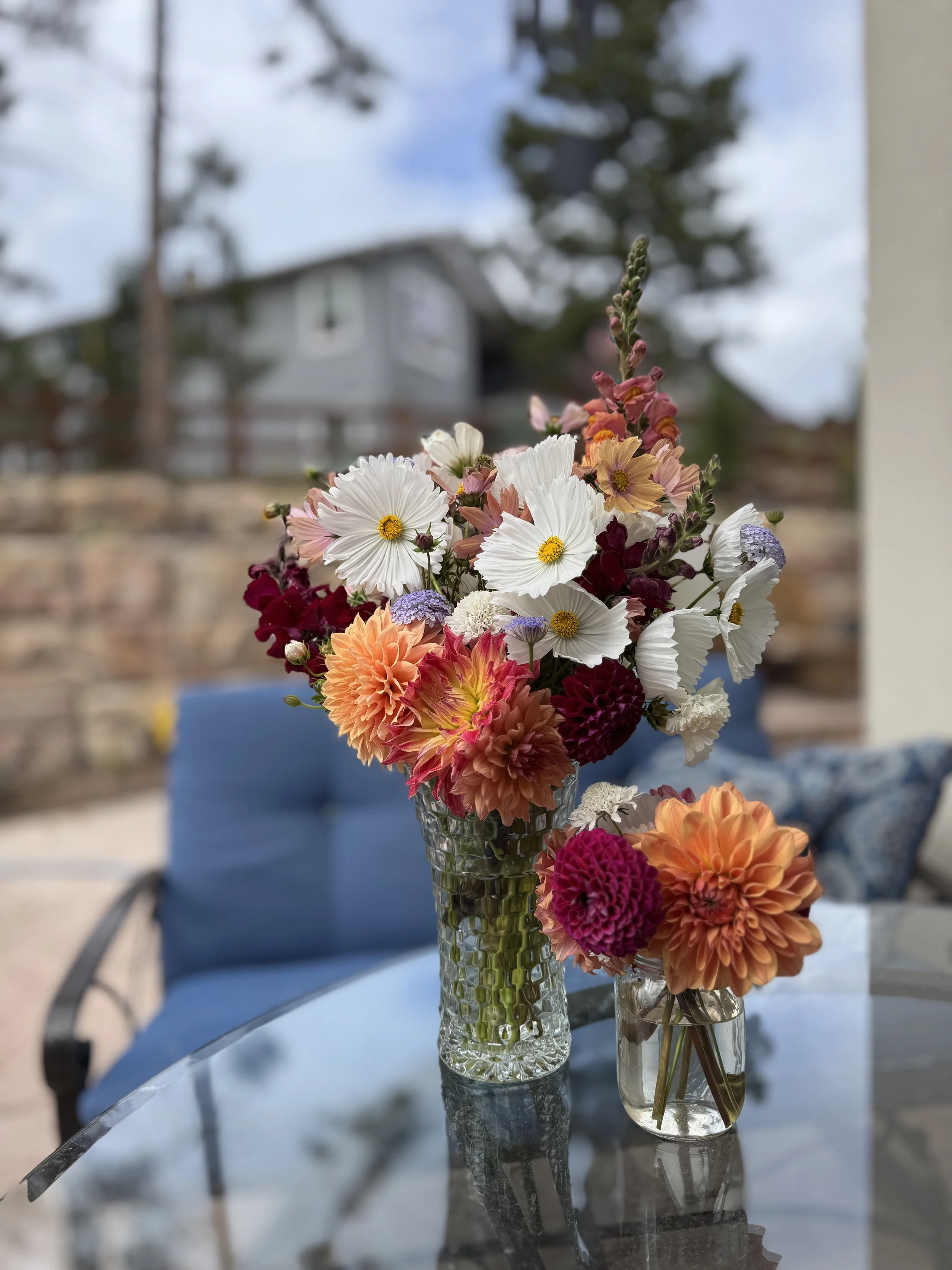 Fresh cut flowers, Colorado Springs