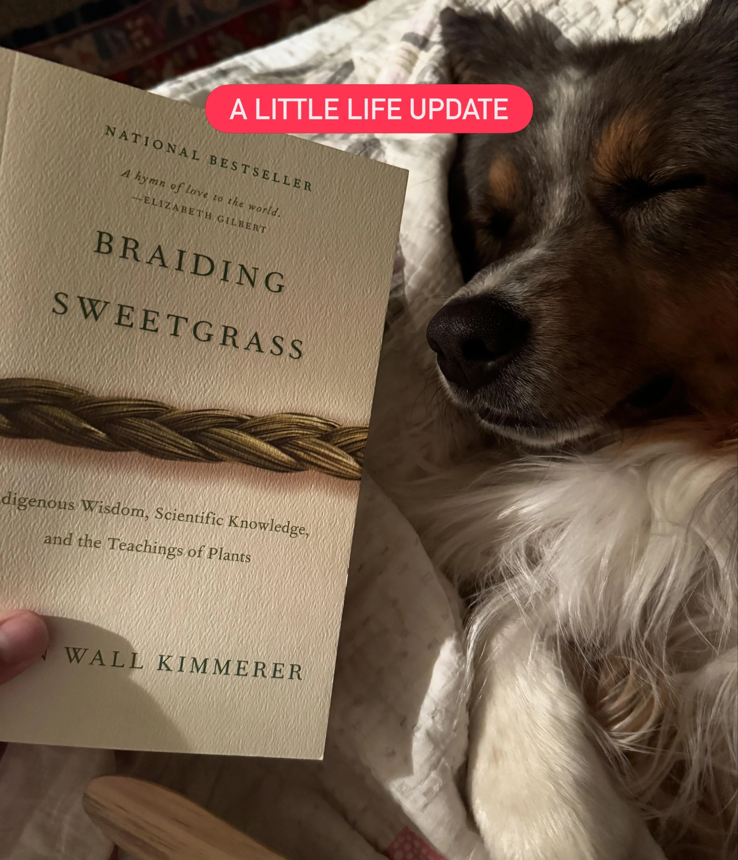 It&rsquo;s been a little quiet over here, so I thought I&rsquo;d share a quick life update.

Between my full-time job, building the flower farm, and helping renovate Jared&rsquo;s house, life has been pretty full lately. I knew I was taking on a lot,