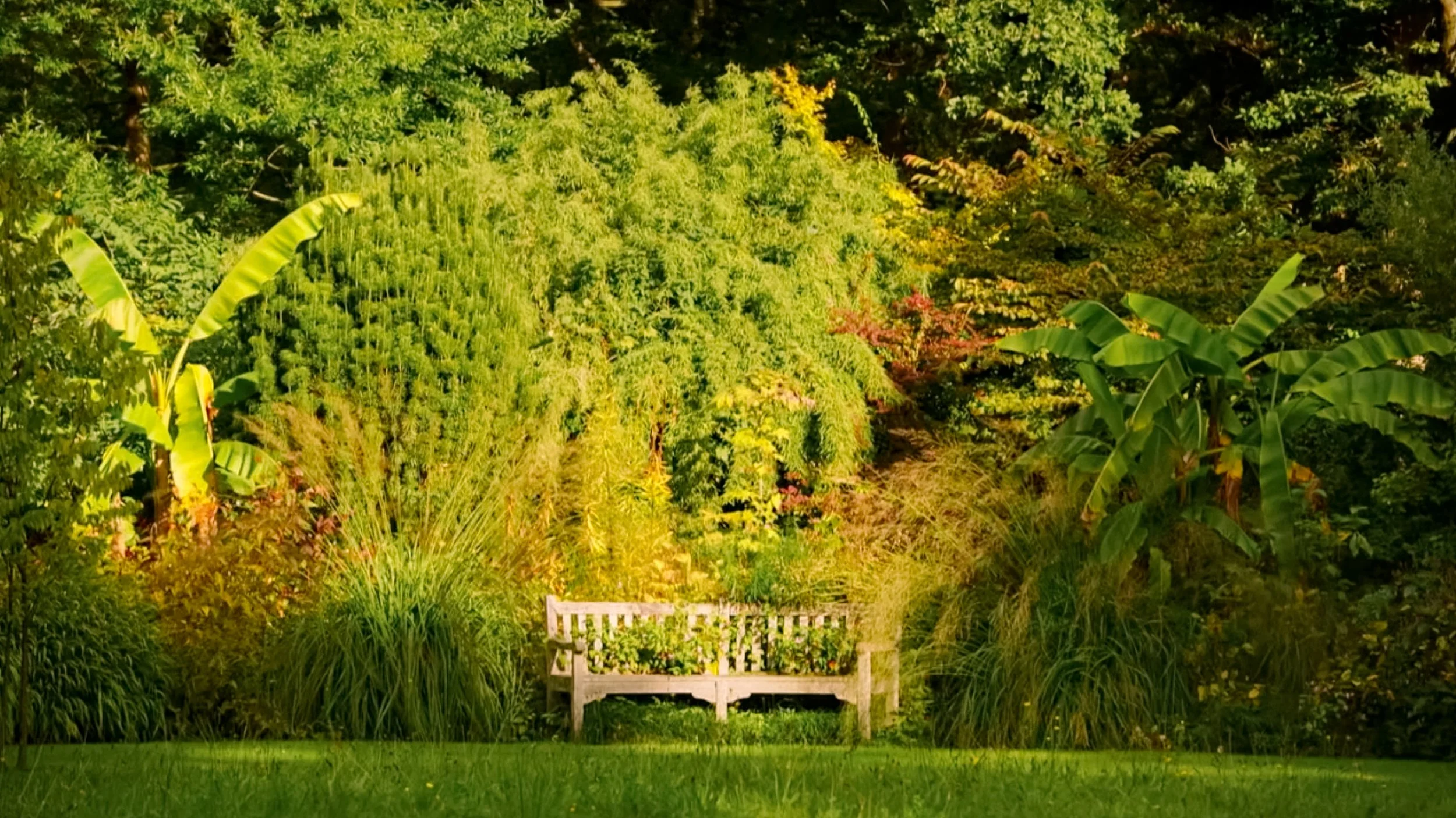 Monty Don's Rhineland Gardens