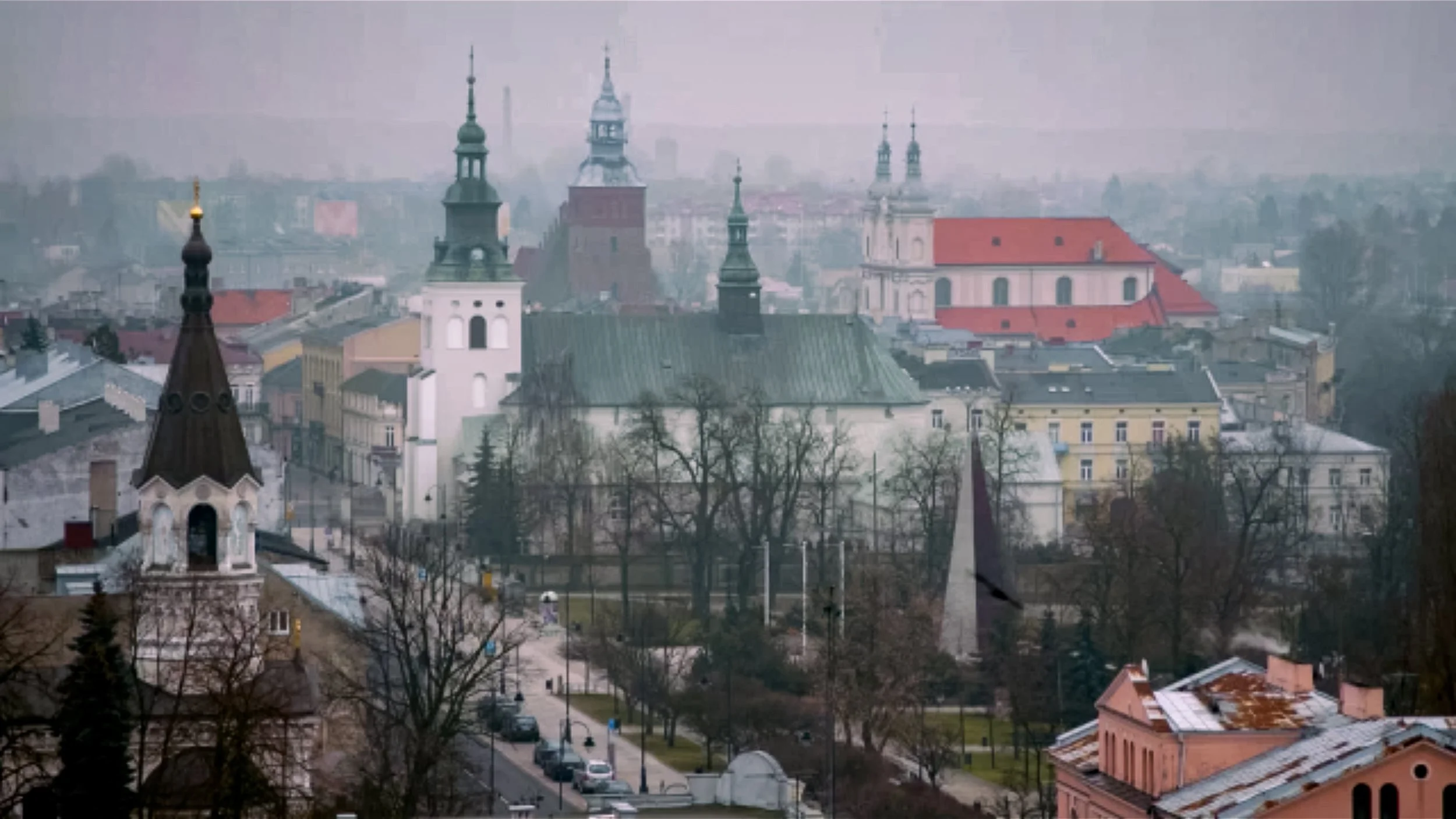 RINDER-2.jpg